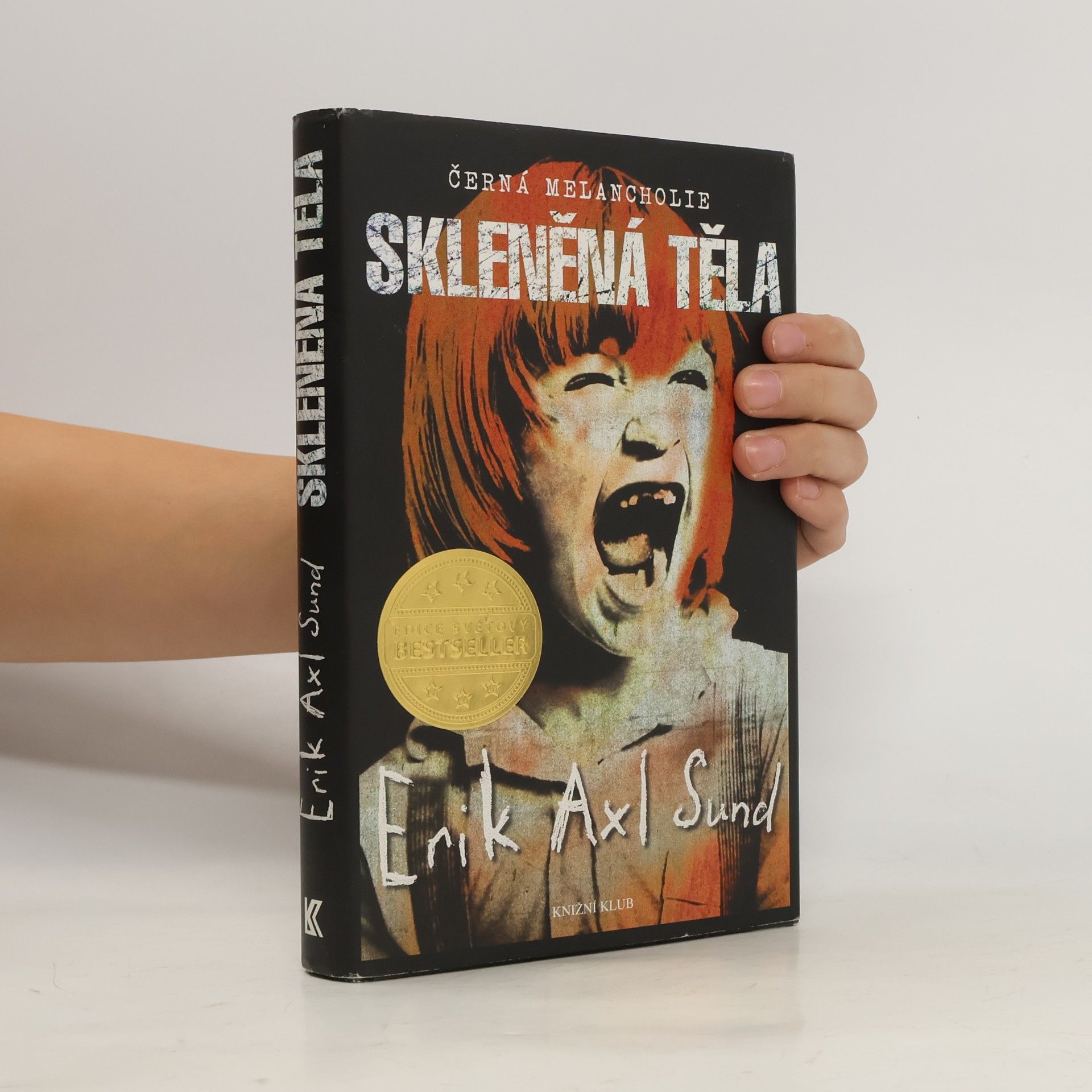 Erik Axl Sund Skleněná těla. Černá melancholie