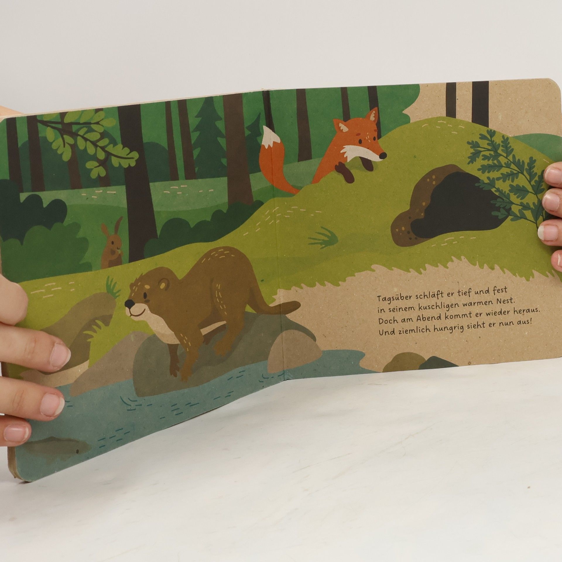 Carla Hafner Meine Waldfreunde. Der kleine Otter
