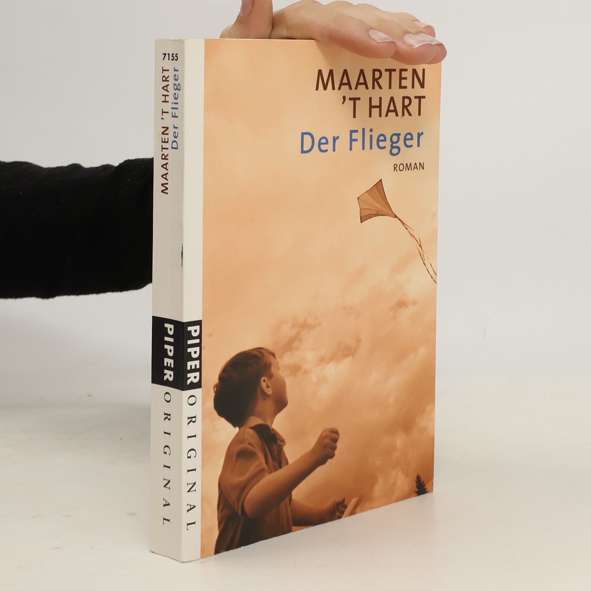 Maarten 't Hart Der Flieger