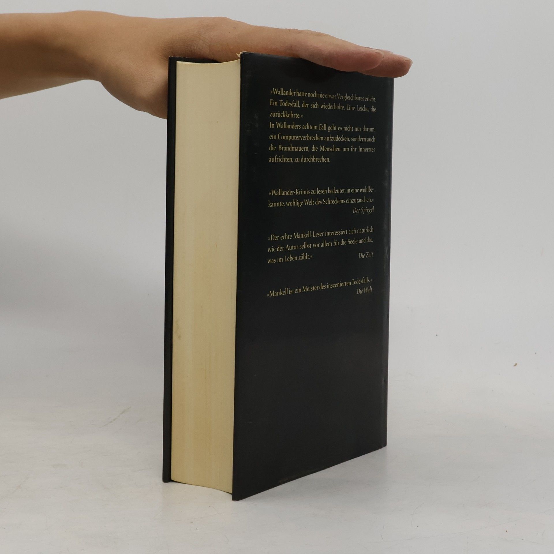 Henning Mankell Die Brandmauer