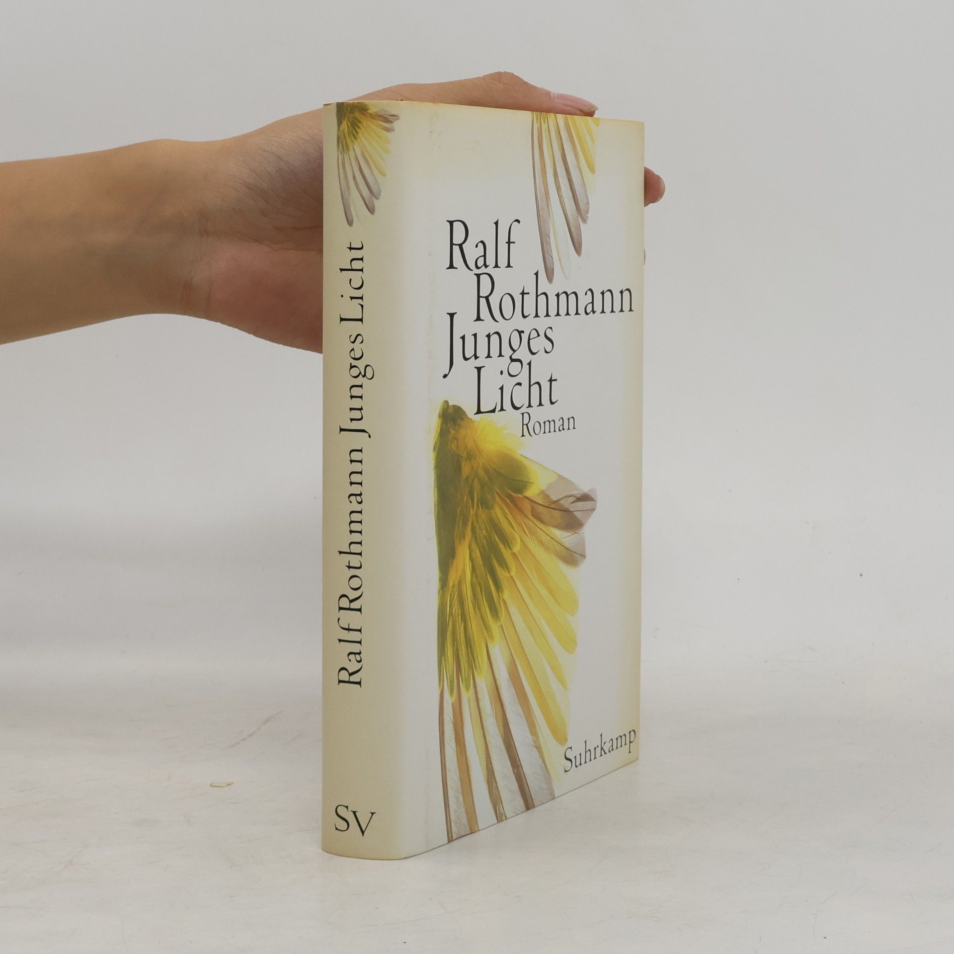 Ralf Rothmann Junges Licht