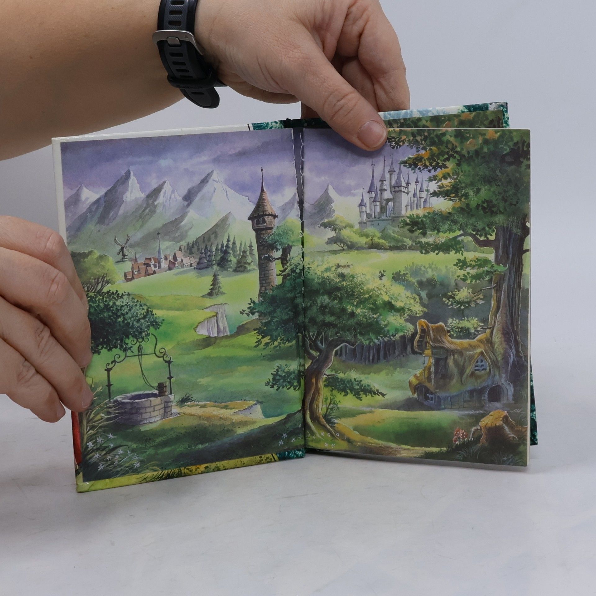 Jacob Grimm Der Froschprinz