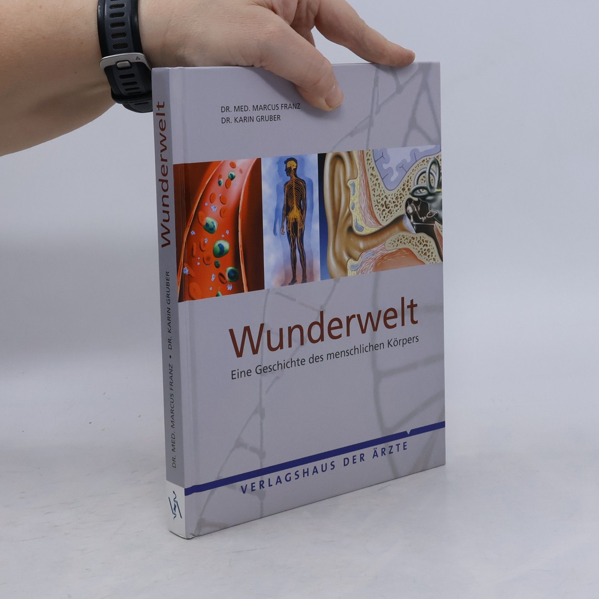 Franz Marcus Wunderwelt