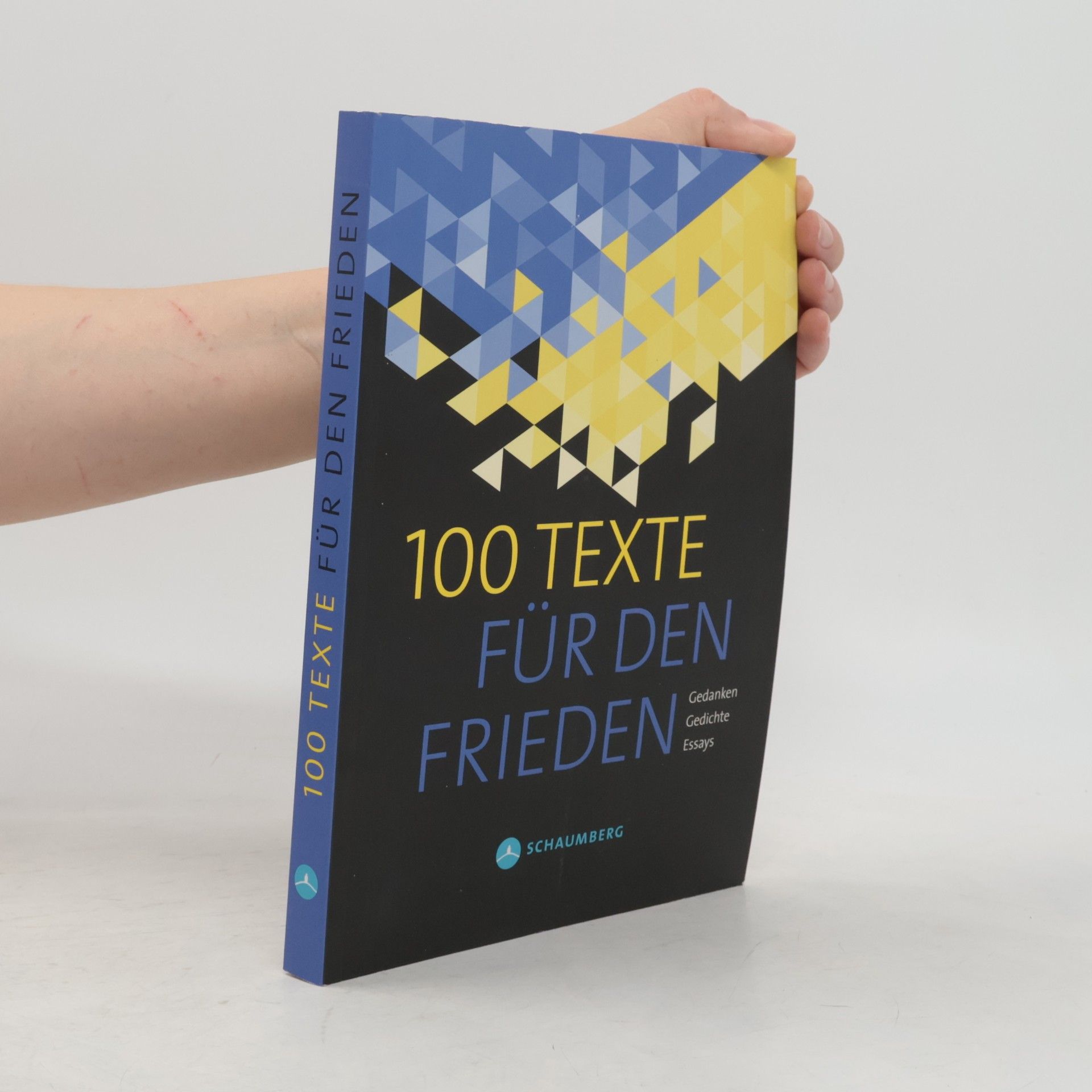 Autorenkollektiv 100 Texte für den Frieden. Ein Hilfsprojekt für die Kinder der Ukraine 2022