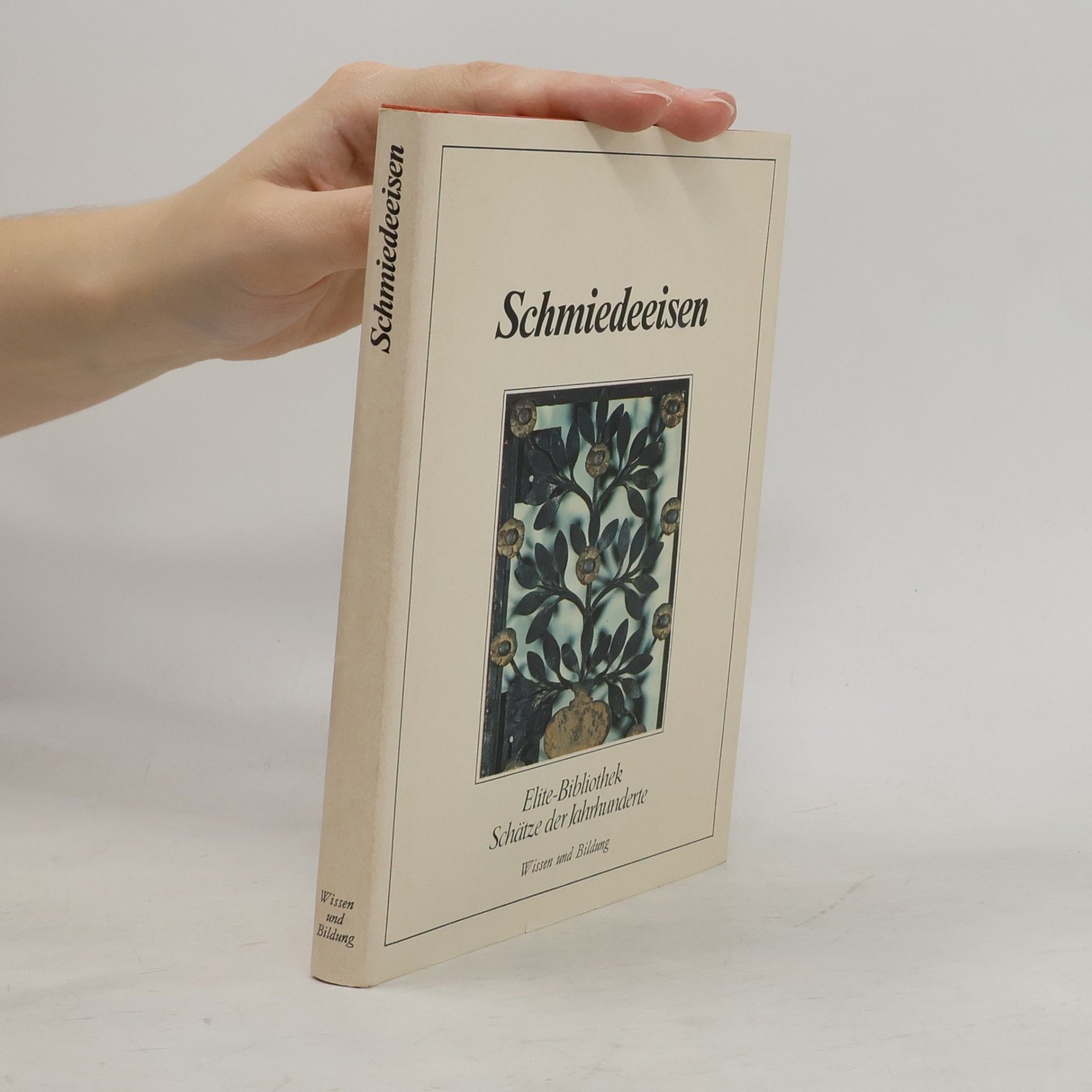 Autorenkollektiv Schmiedeeisen