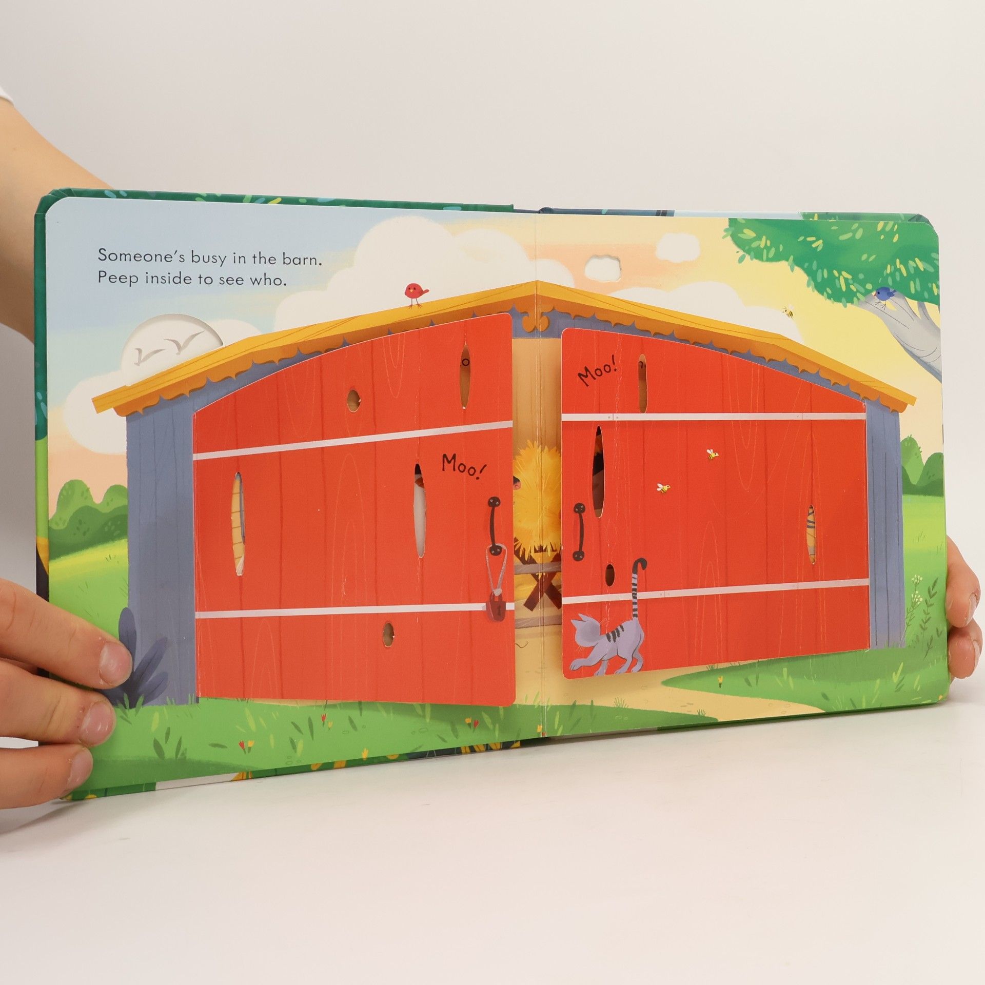 Anna Milbourne Peep Inside the Farm