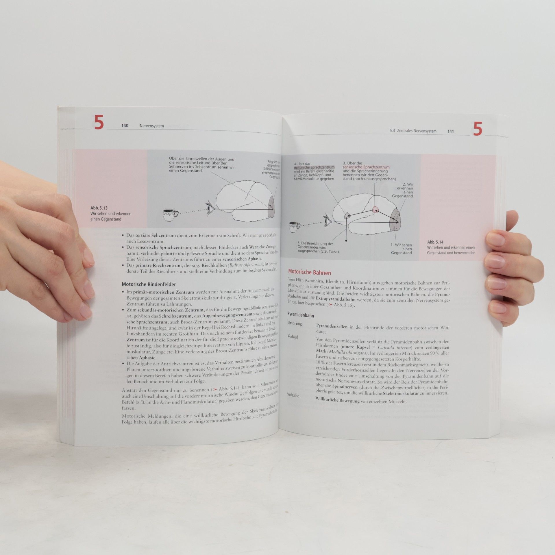 Erica Brühlmann-Jecklin Arbeitsbuch Anatomie und Physiologie für Pflege- und andere Gesundheitsfachberufe