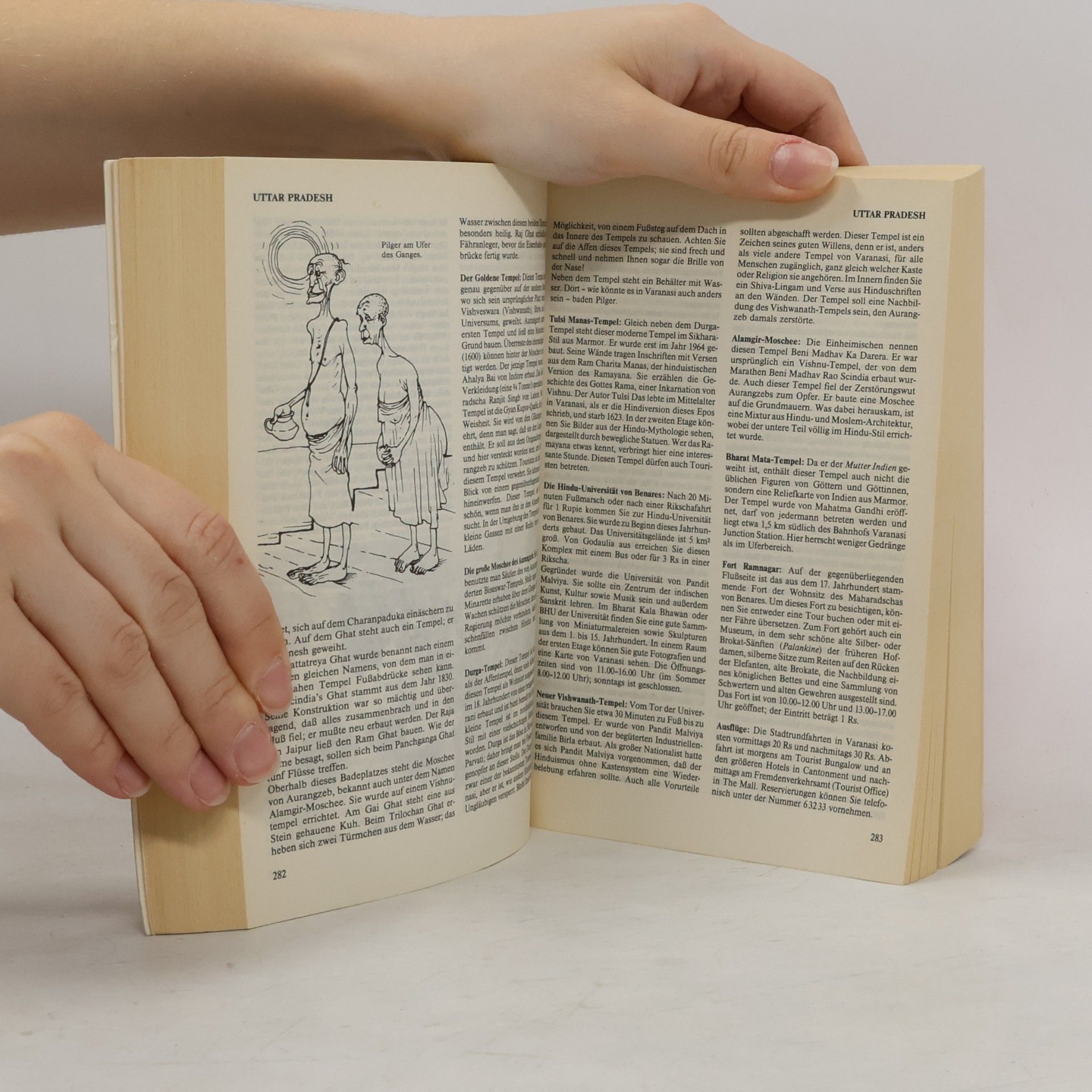 Geoff Crowther Indien-Handbuch
