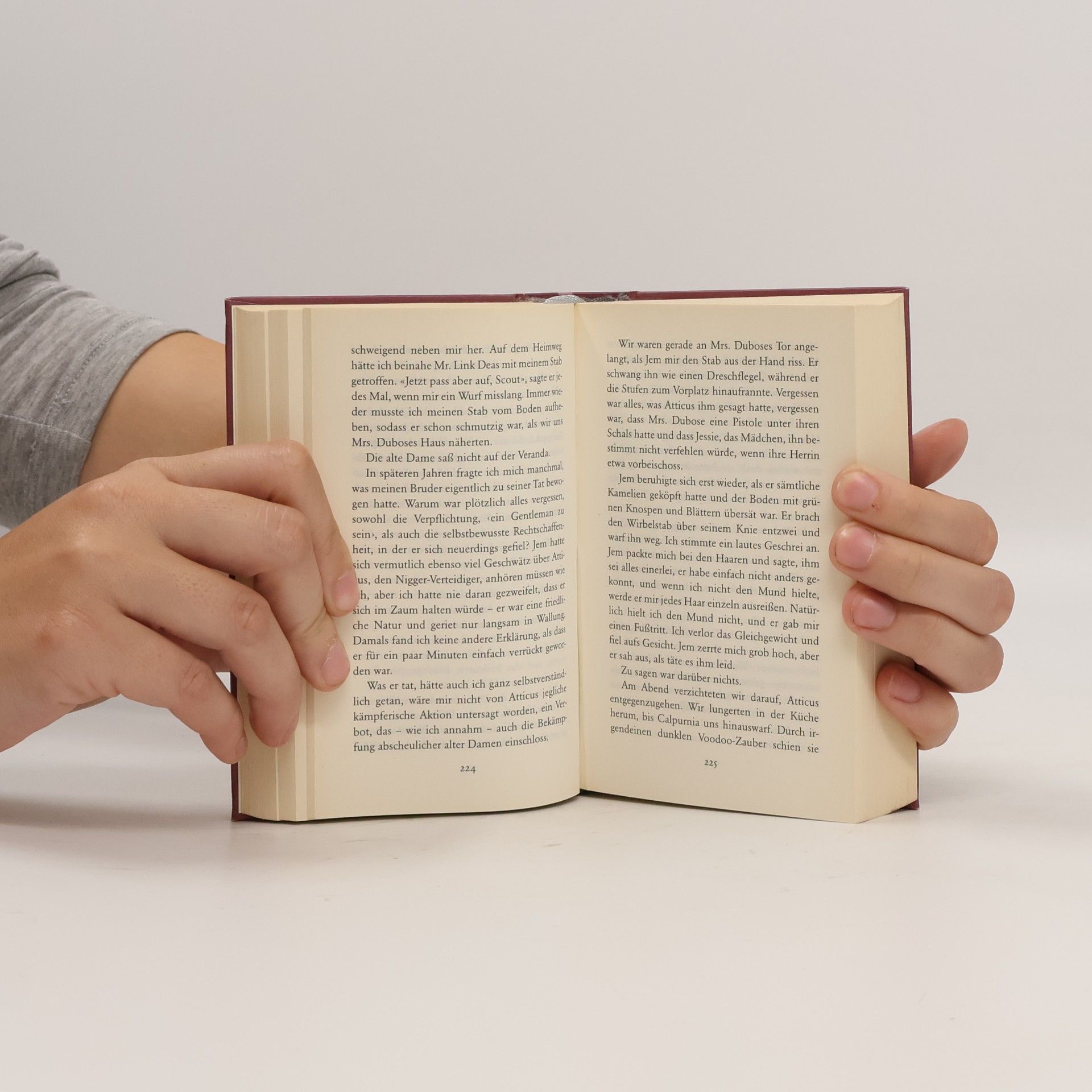 Harper Lee Wer die Nachtigall stört ...