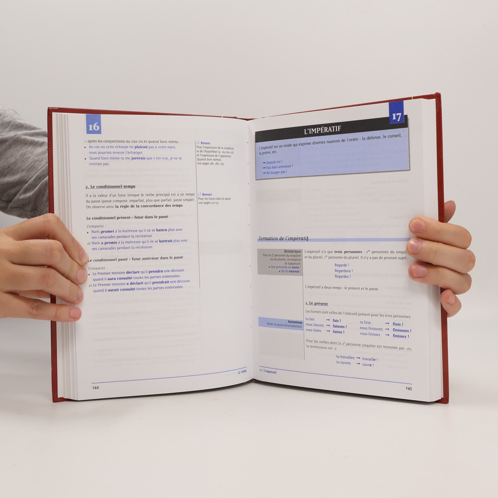 Yvonne Delatour Nouvelle grammaire du français