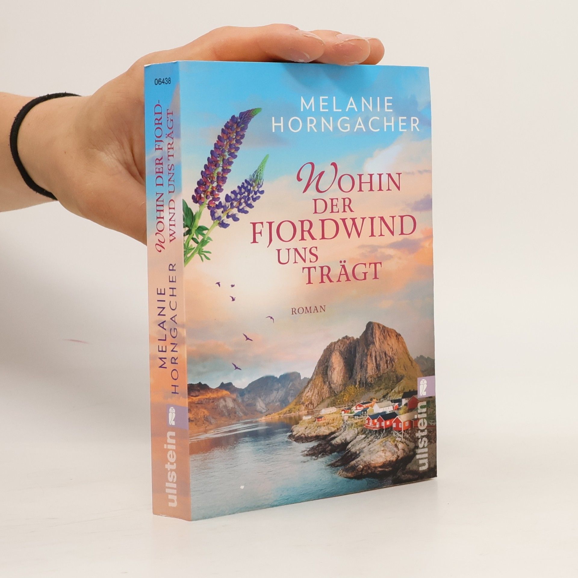 Melanie Horngacher Wohin der Fjordwind uns trägt