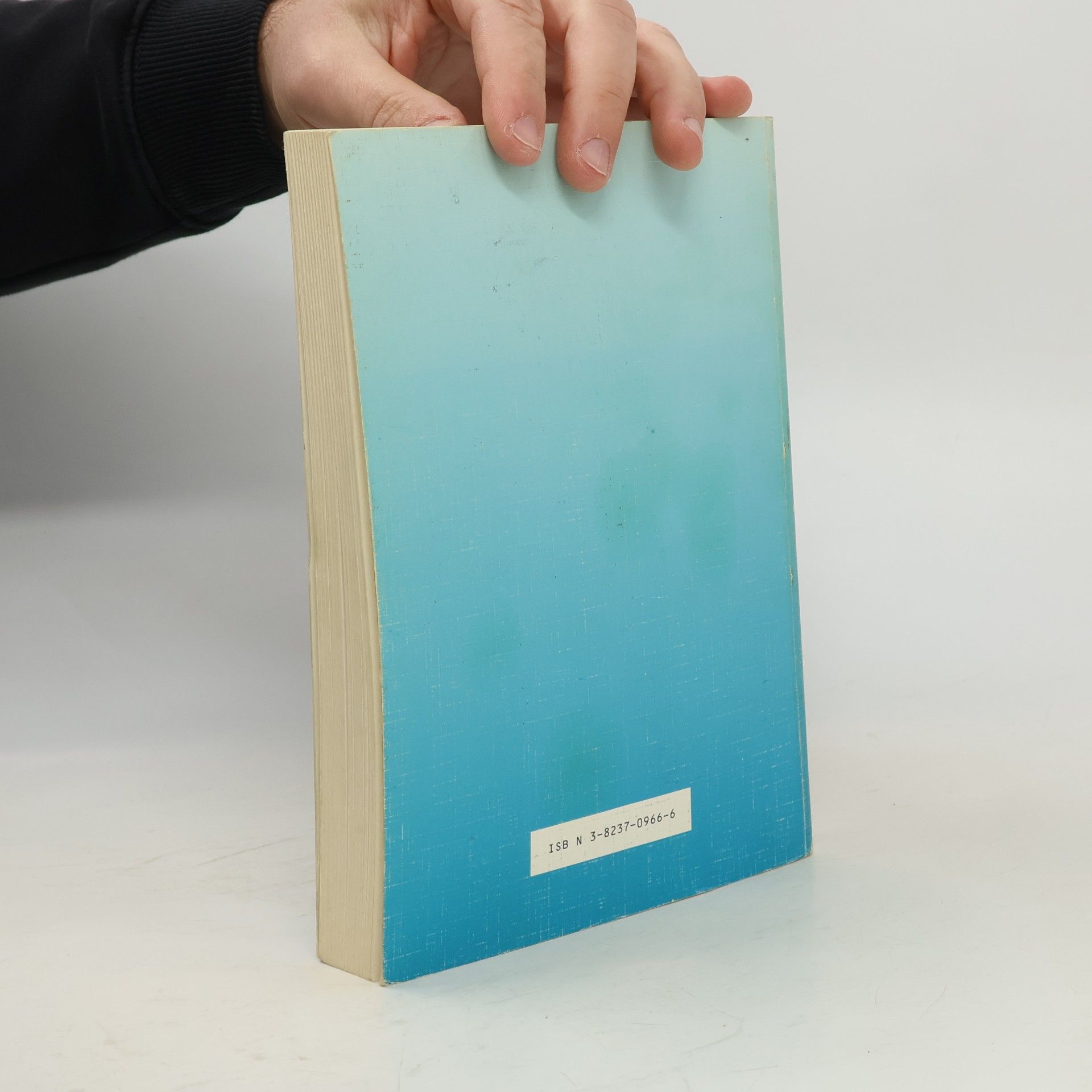 Werner Abriß Lehrbuch
