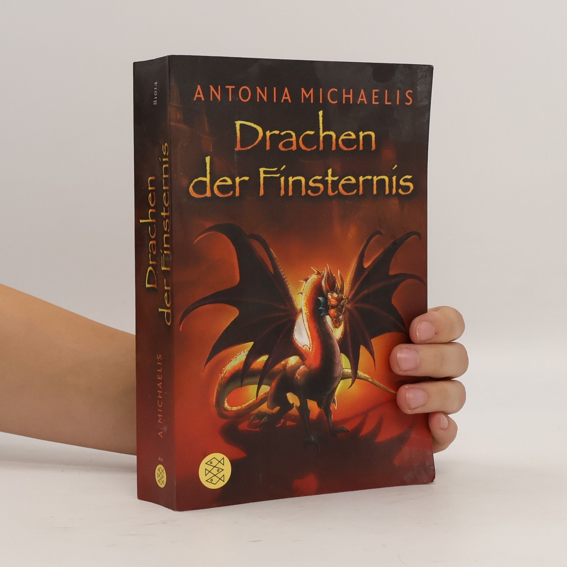 Antonia Michaelis Drachen der Finsternis