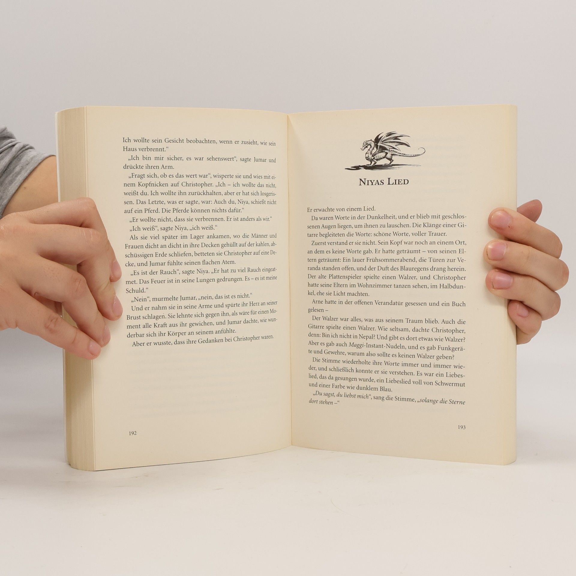 Antonia Michaelis Drachen der Finsternis