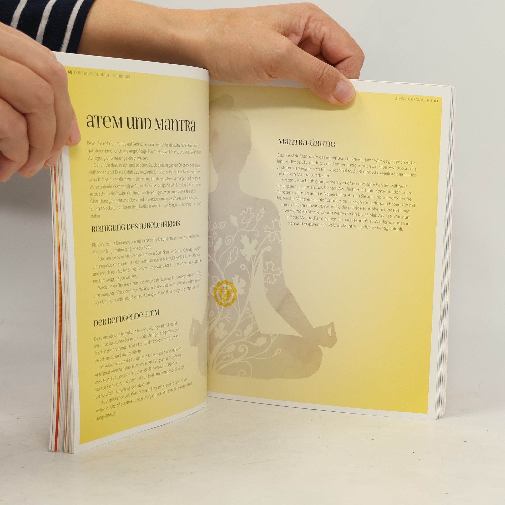 Pauline Wills Chakra-Übungsbuch