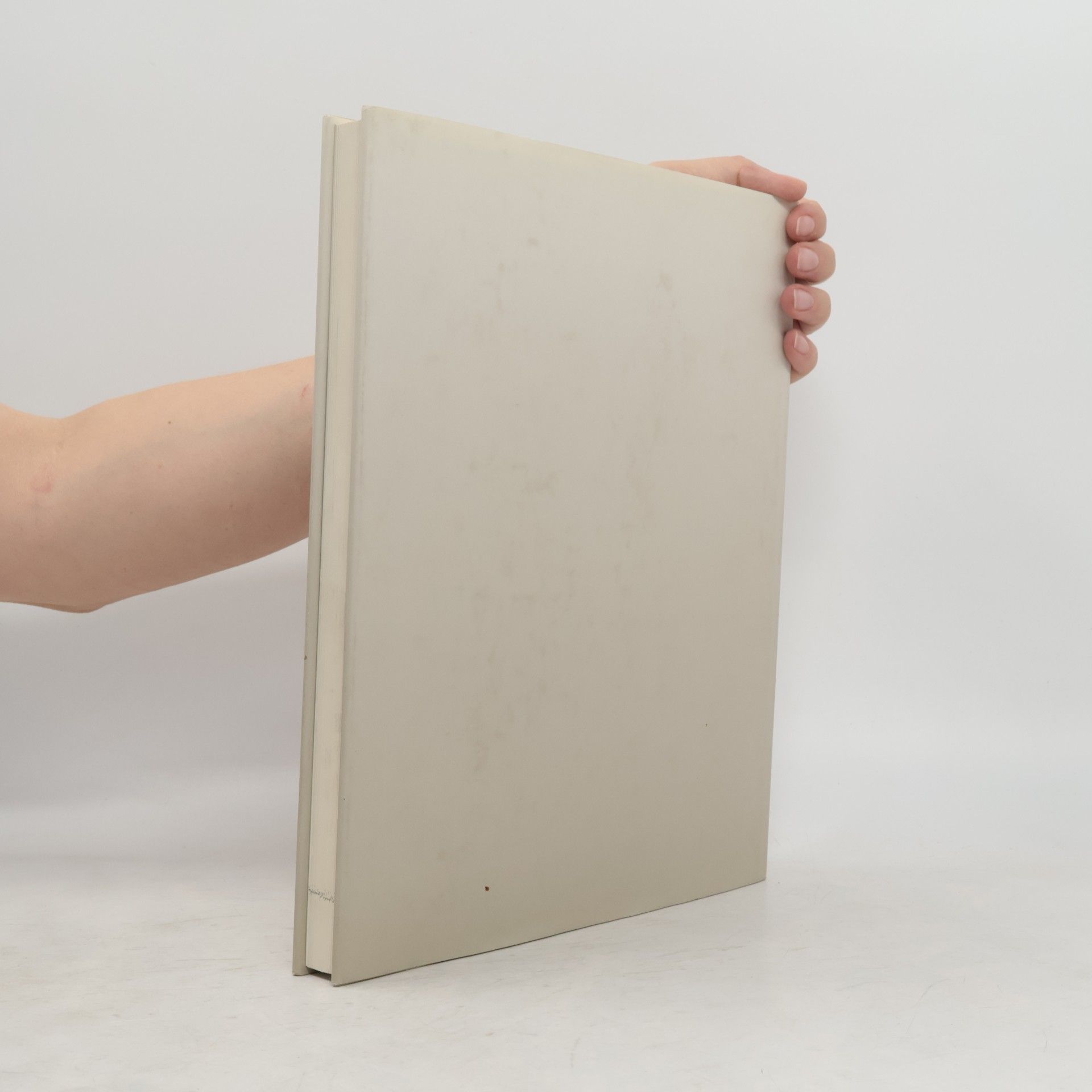 Various authors Baumeister Schlemmer und die Üecht-Gruppe