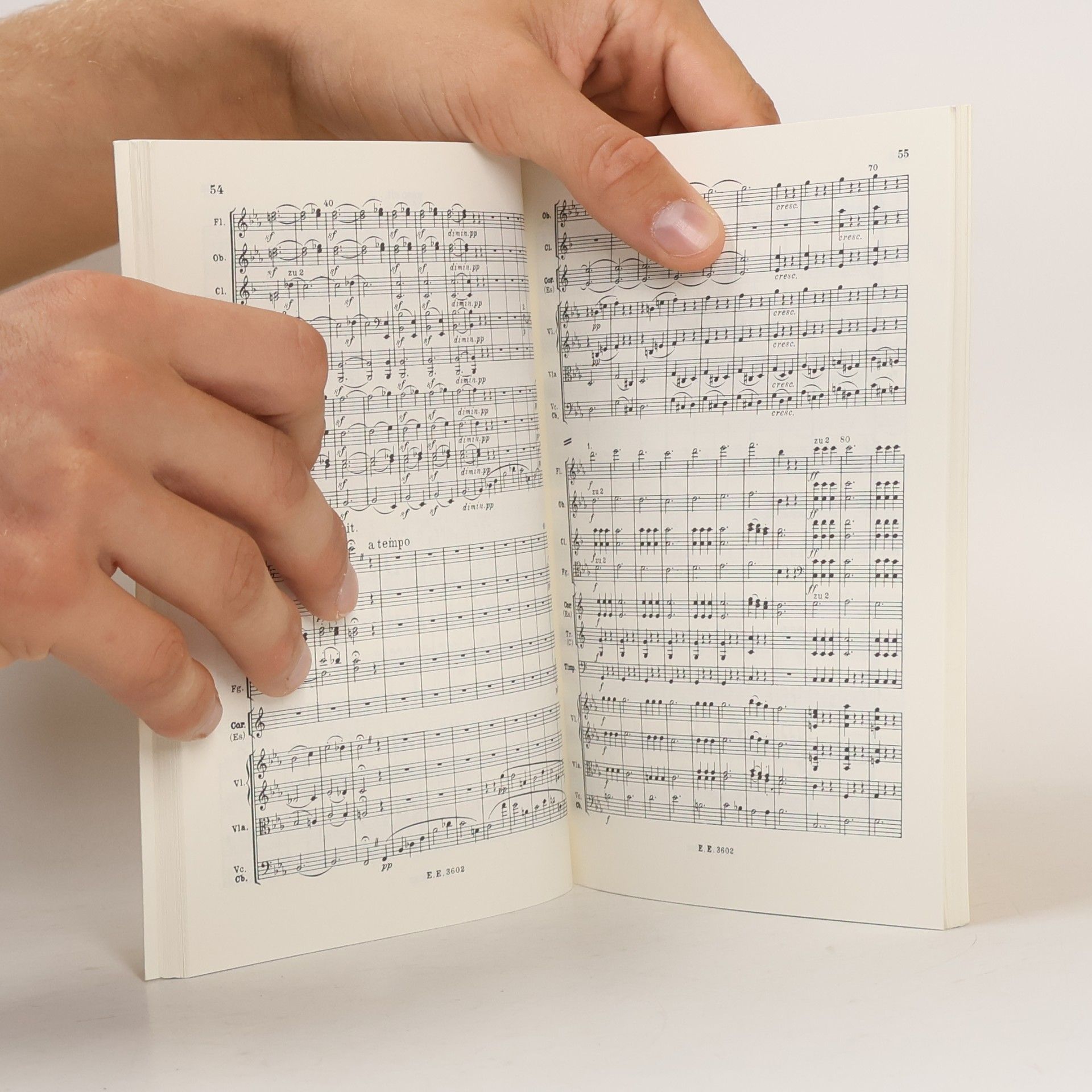 Ludwig van Beethoven Symphony No. 5