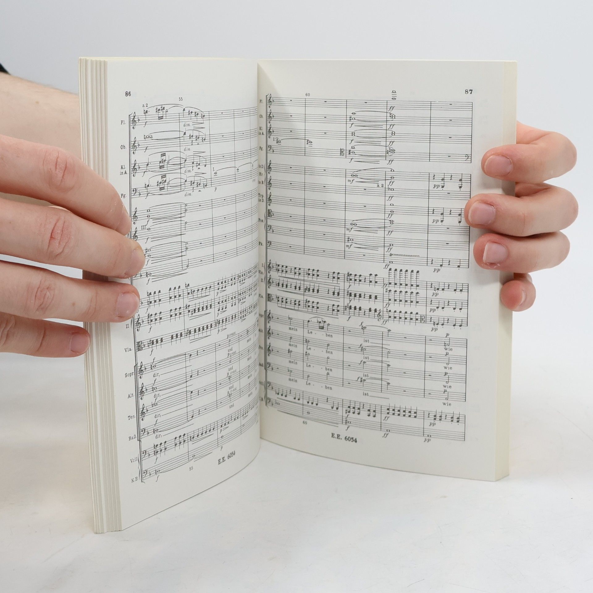 Johannes Brahms BRAHMS