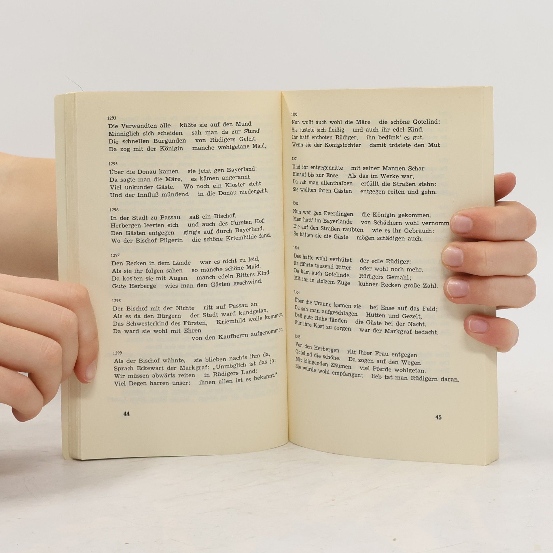 Autorenkollektiv Das Nibelungenlied