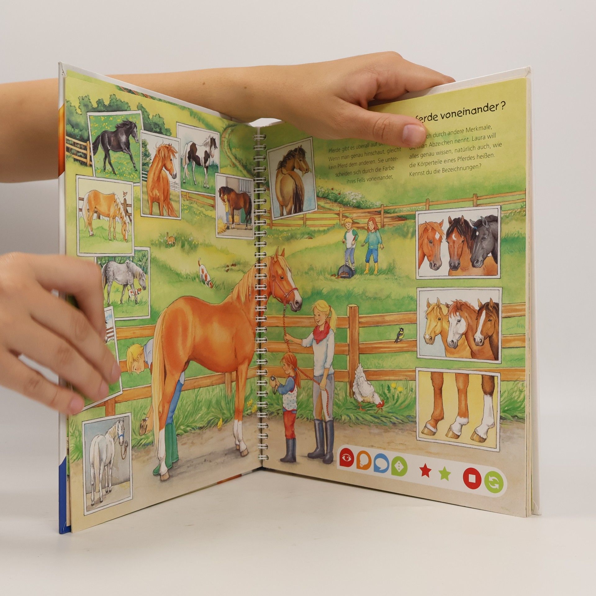 Melanie Brockamp Die Welt der Pferde und Ponys