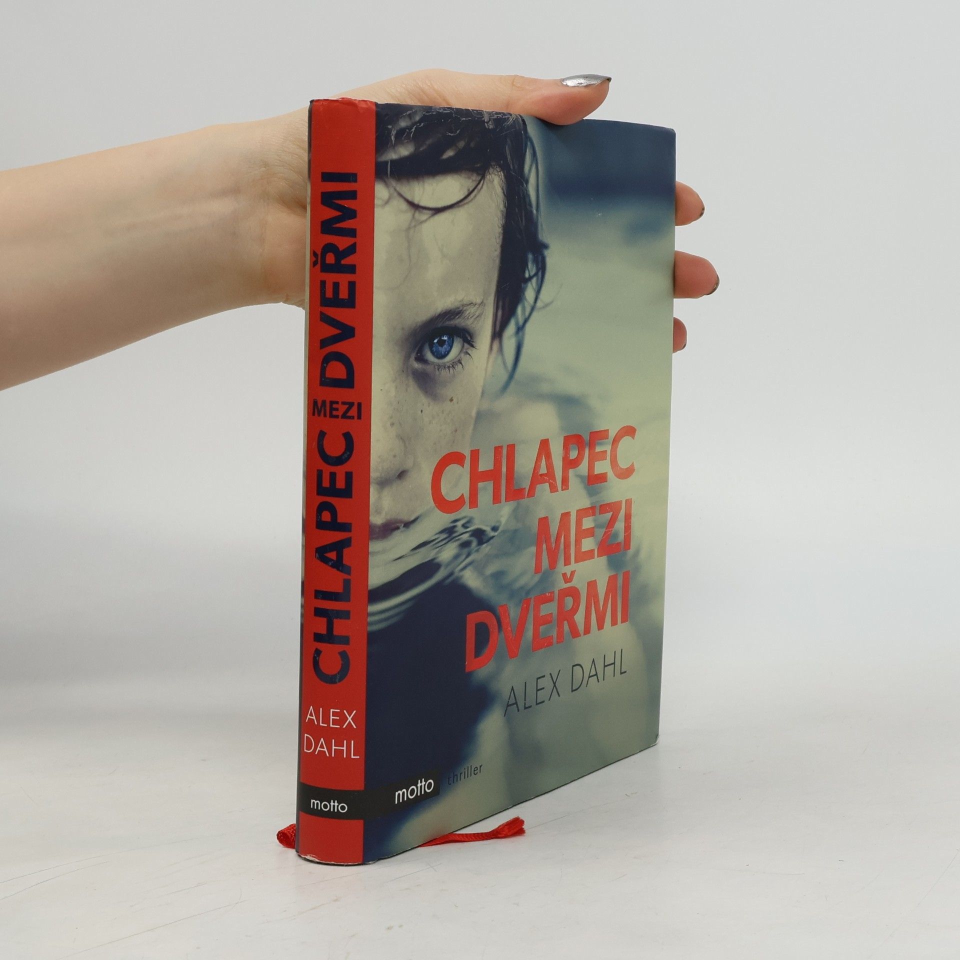 Alex Dahl Chlapec mezi dveřmi