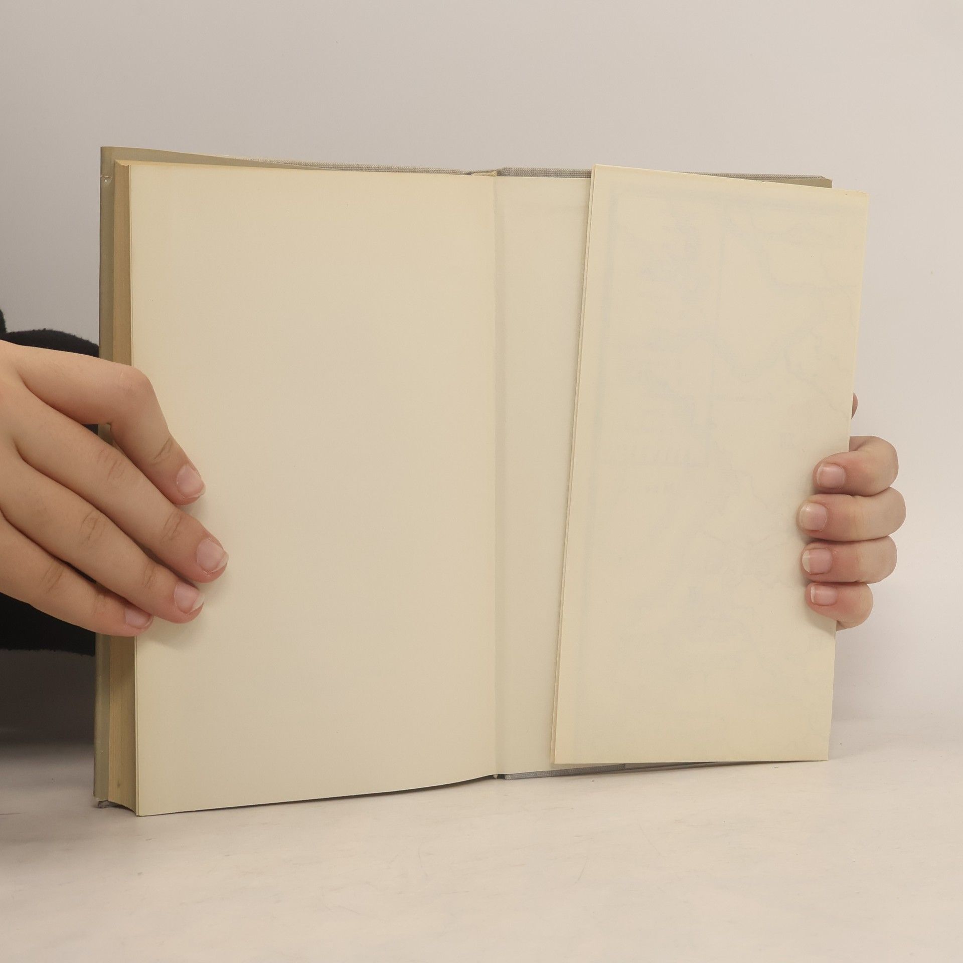 Bi-Yän-Lu Die Niederschrift von der Smaragdenen Felswand