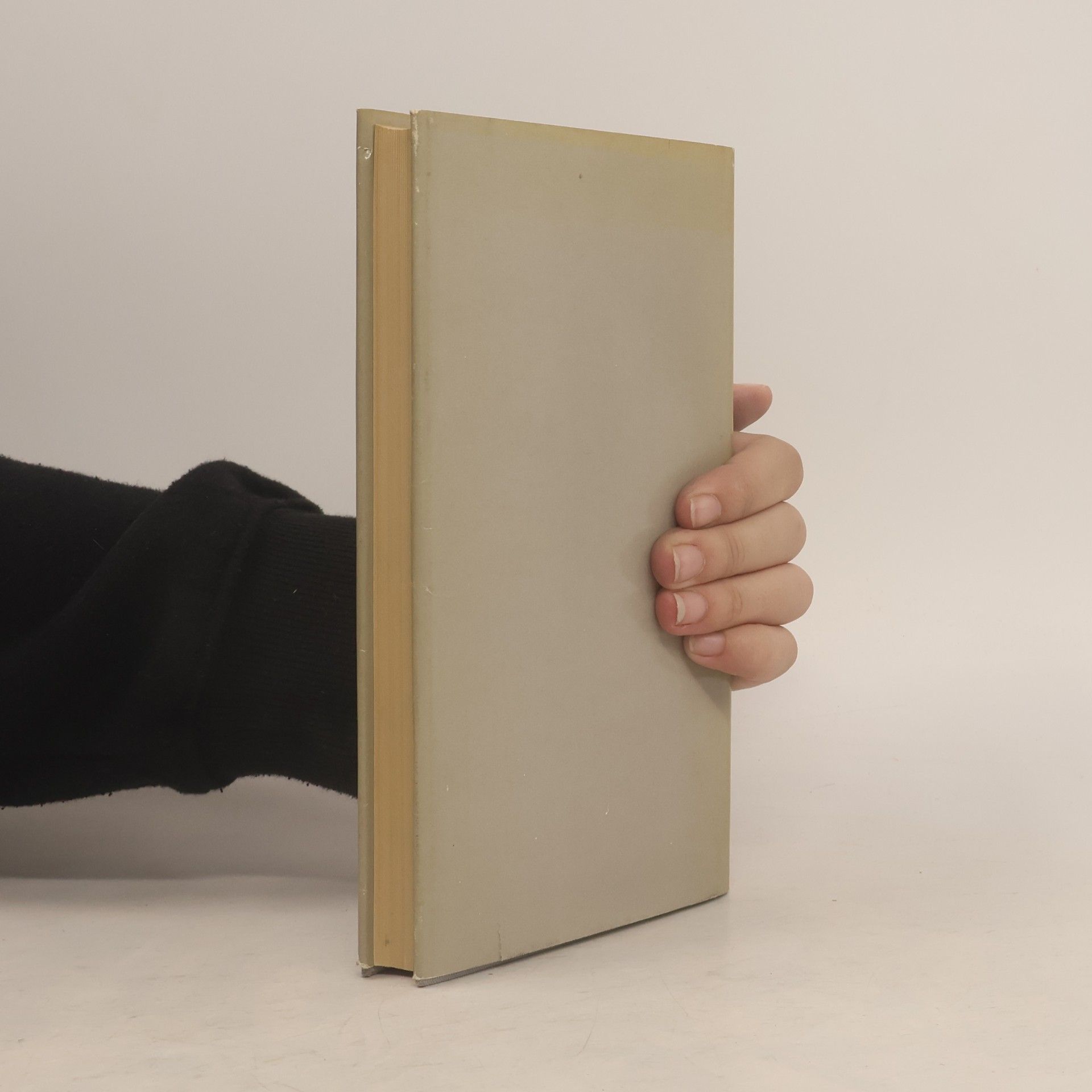 Bi-Yän-Lu Die Niederschrift von der Smaragdenen Felswand