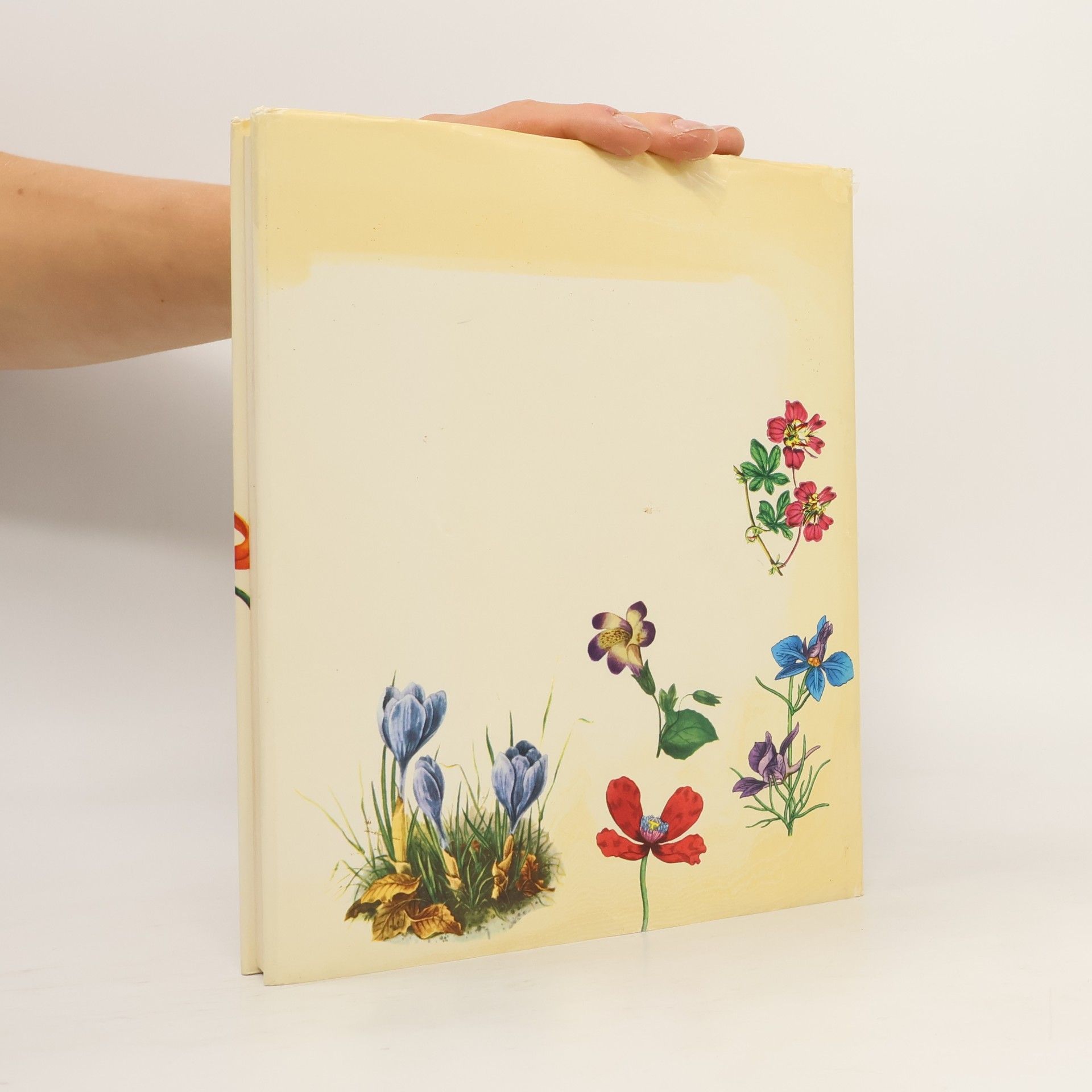 Kolektiv autorů Die wunderbare Welt der Gartenblumen