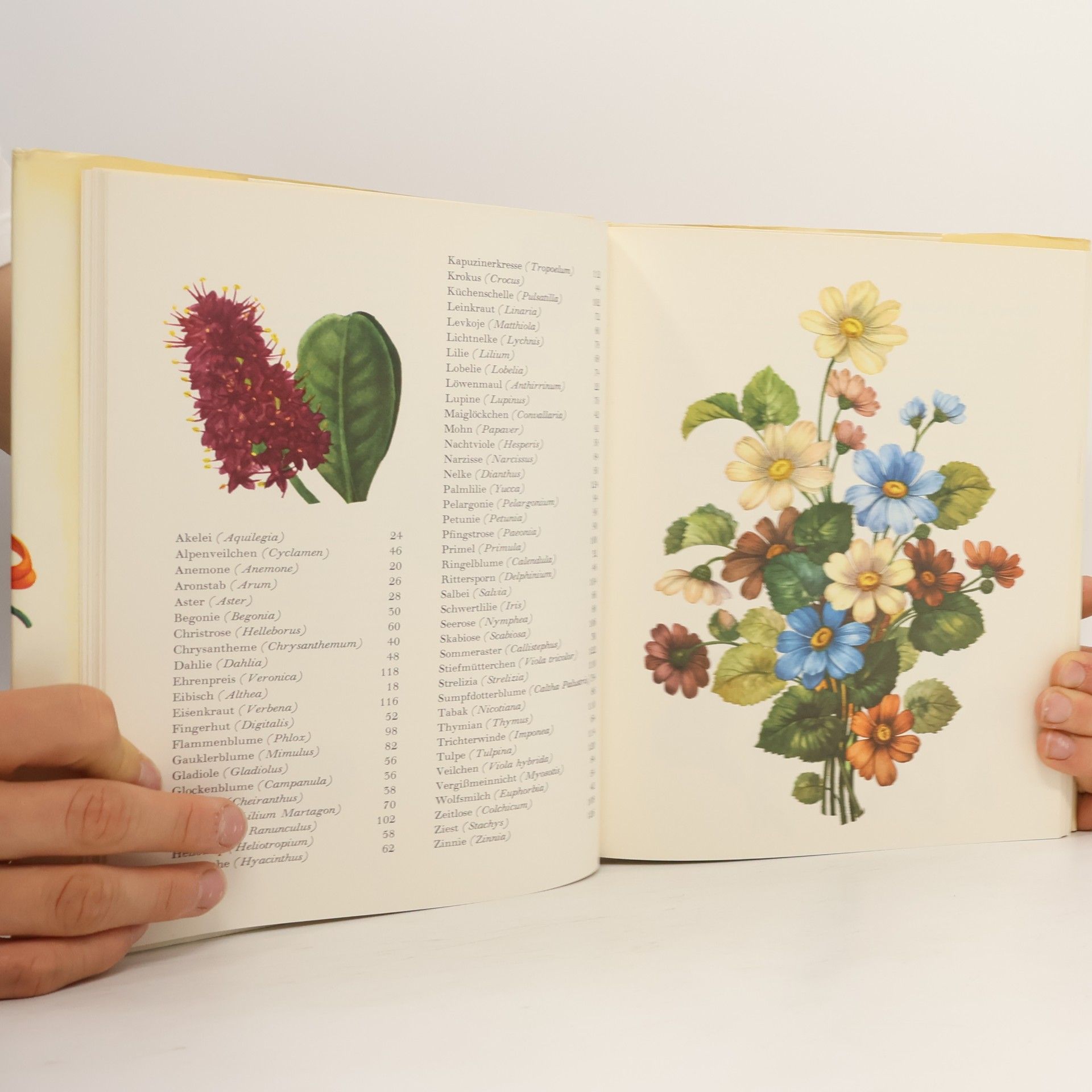 Kolektiv autorů Die wunderbare Welt der Gartenblumen
