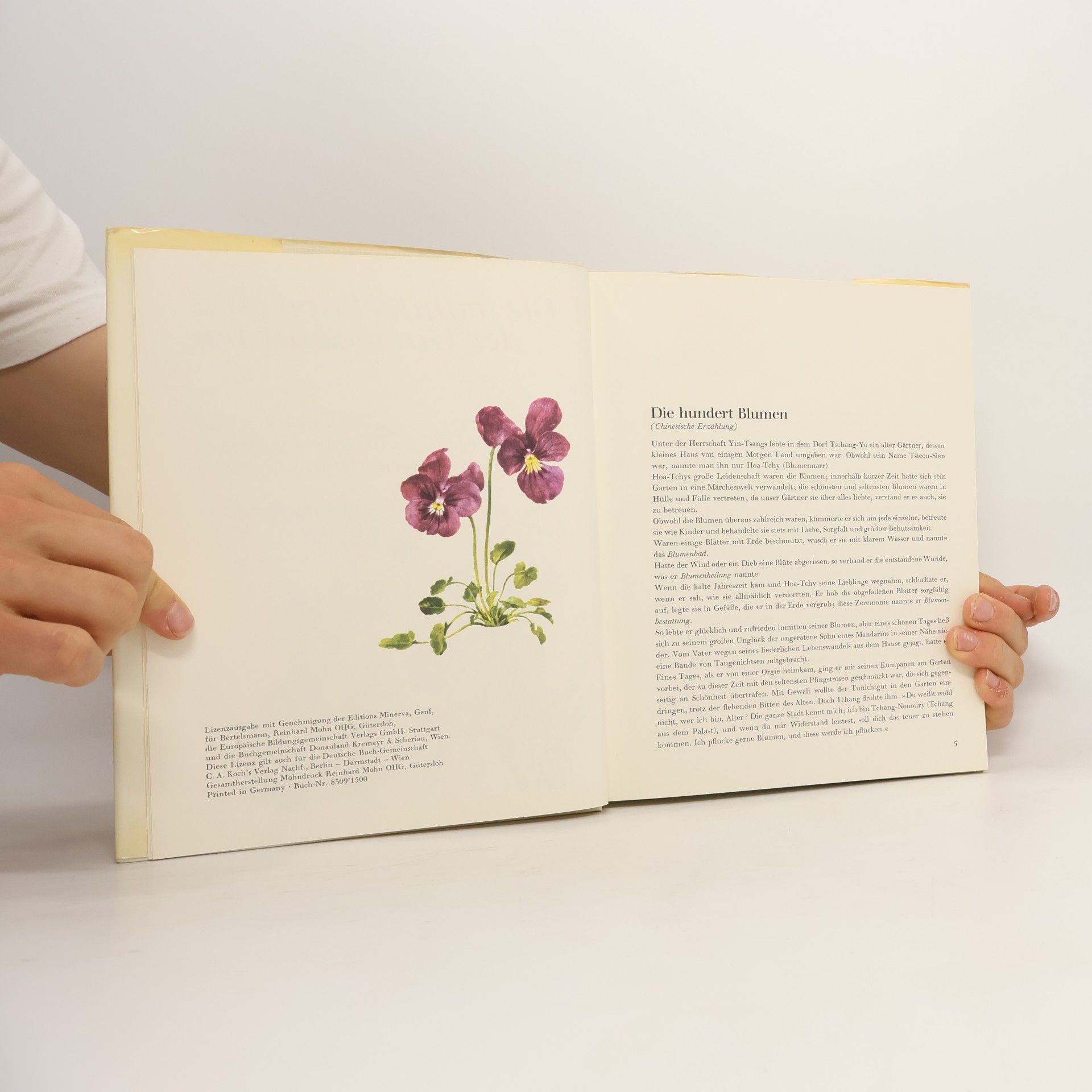 Kolektiv autorů Die wunderbare Welt der Gartenblumen