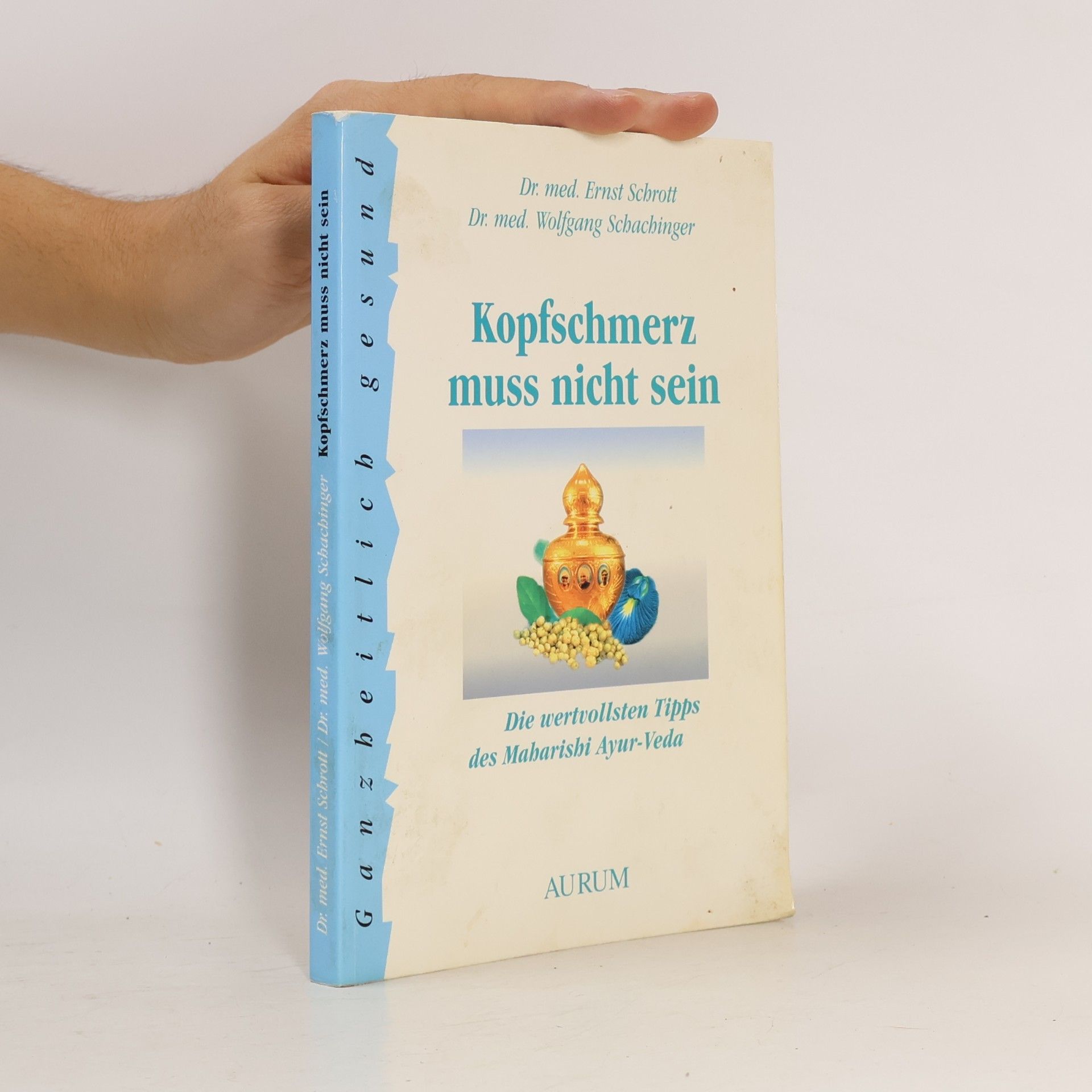 Wolfgang Schachinger Kopfschmerz muss nicht sein