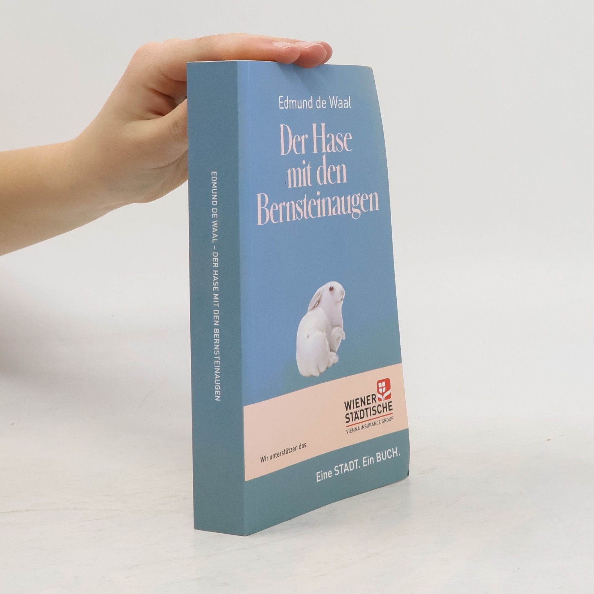 Edmund De Waal Der Hase mit den Bernsteinaugen