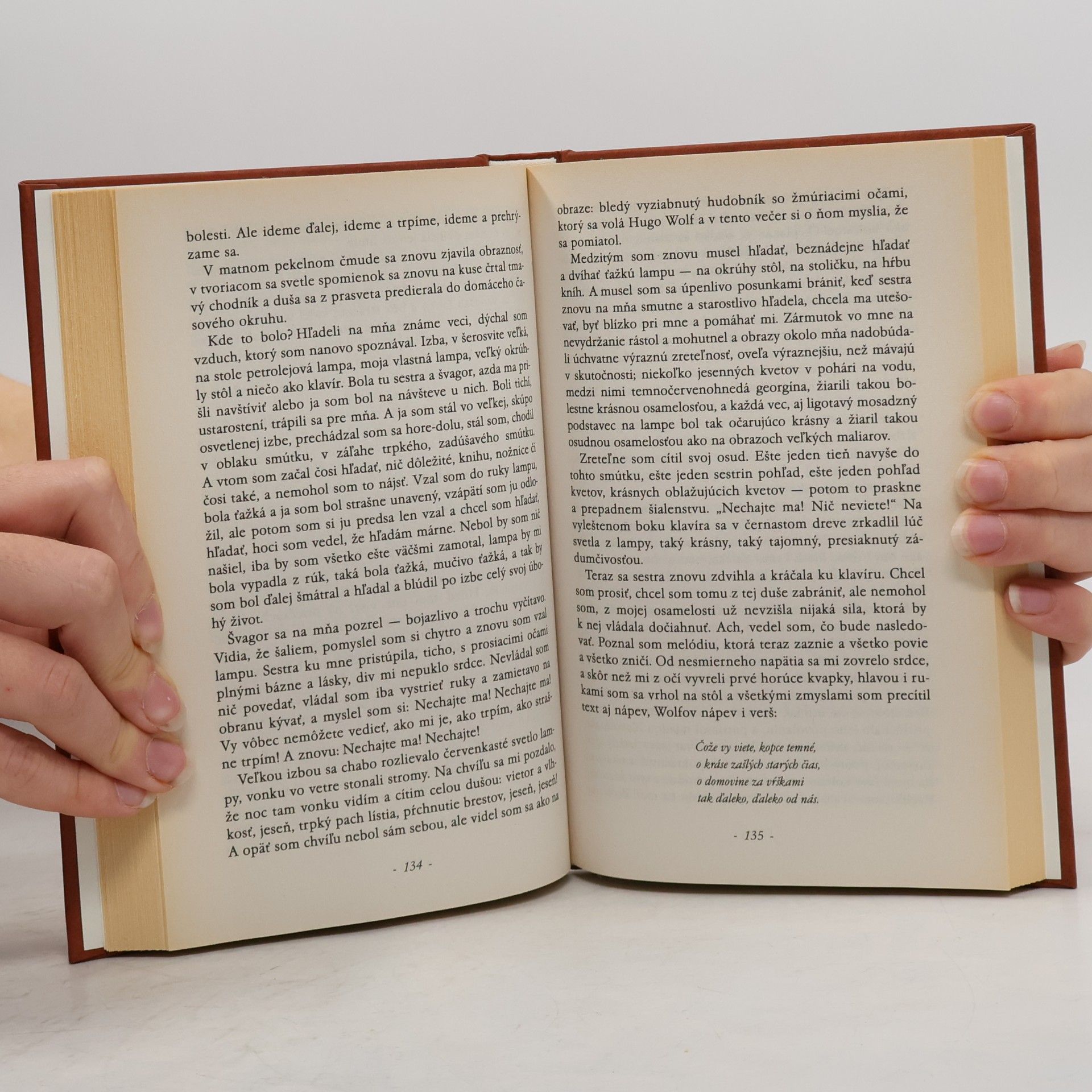Hermann Hesse Rozprávky