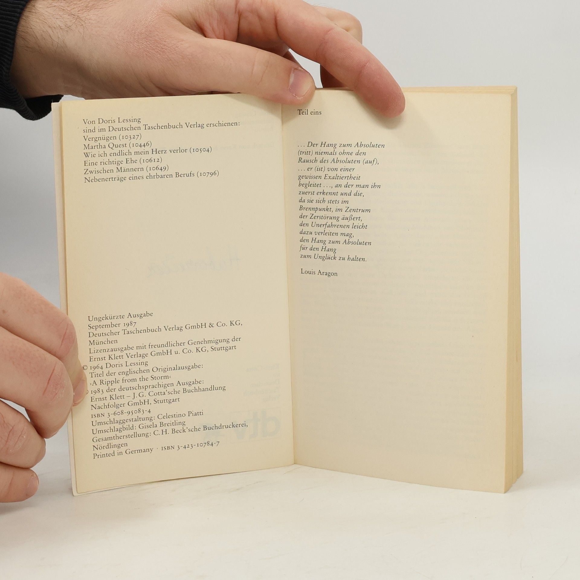 Doris Lessing Sturmzeichen