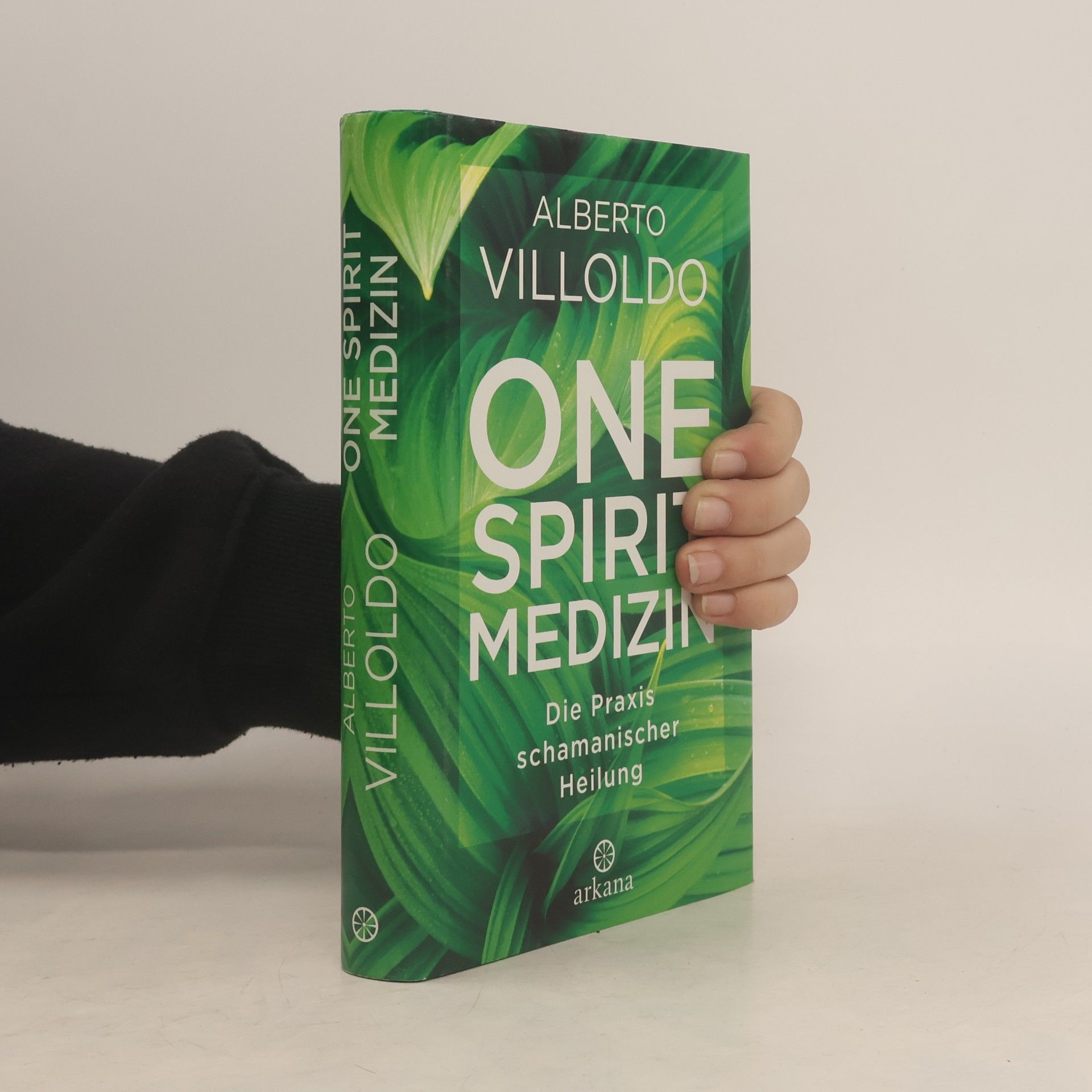 Alberto Villoldo One Spirit Medizin