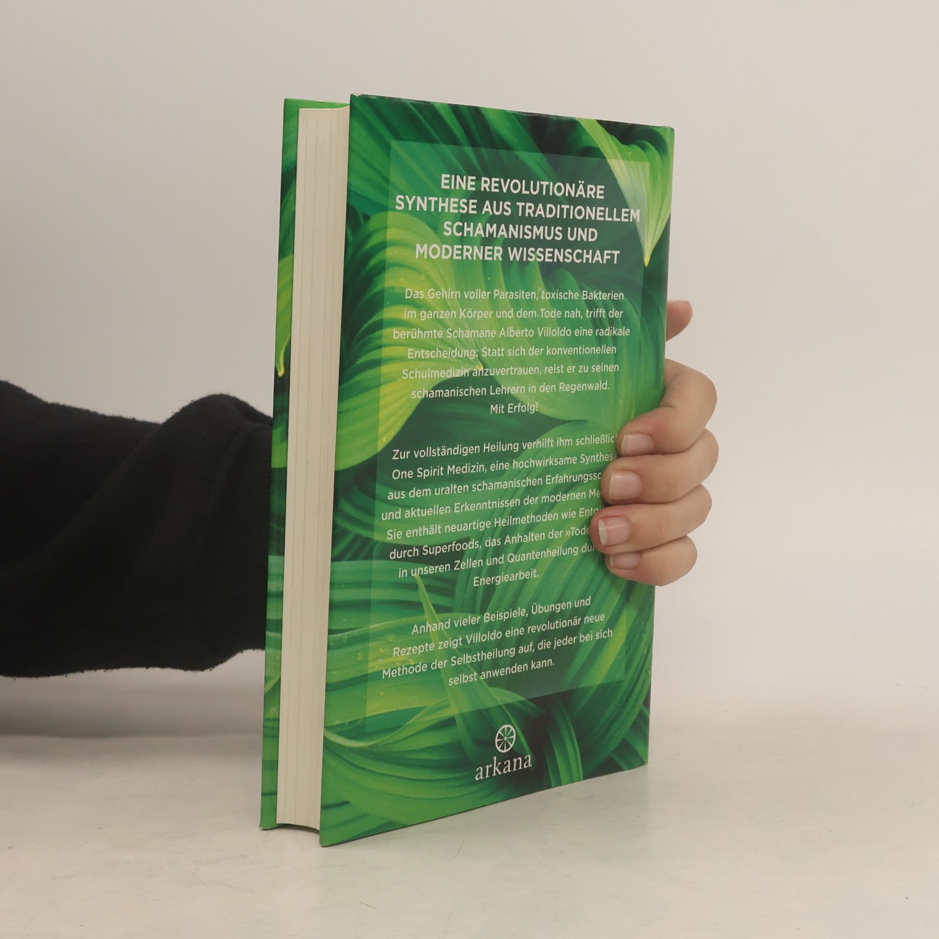 Alberto Villoldo One Spirit Medizin