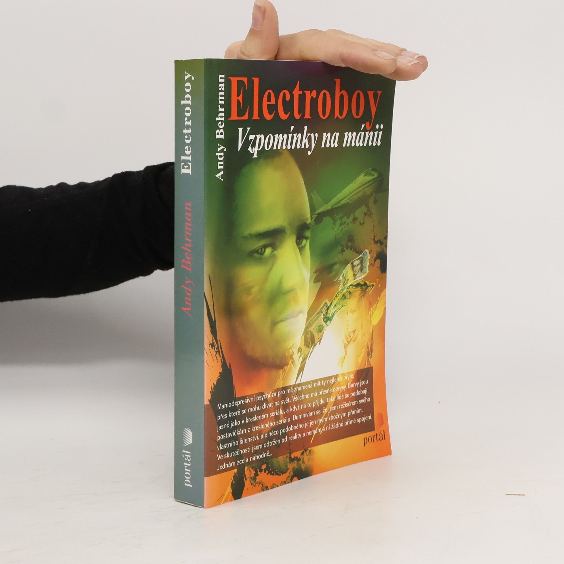 Electroboy: Vzpomínky na mánii