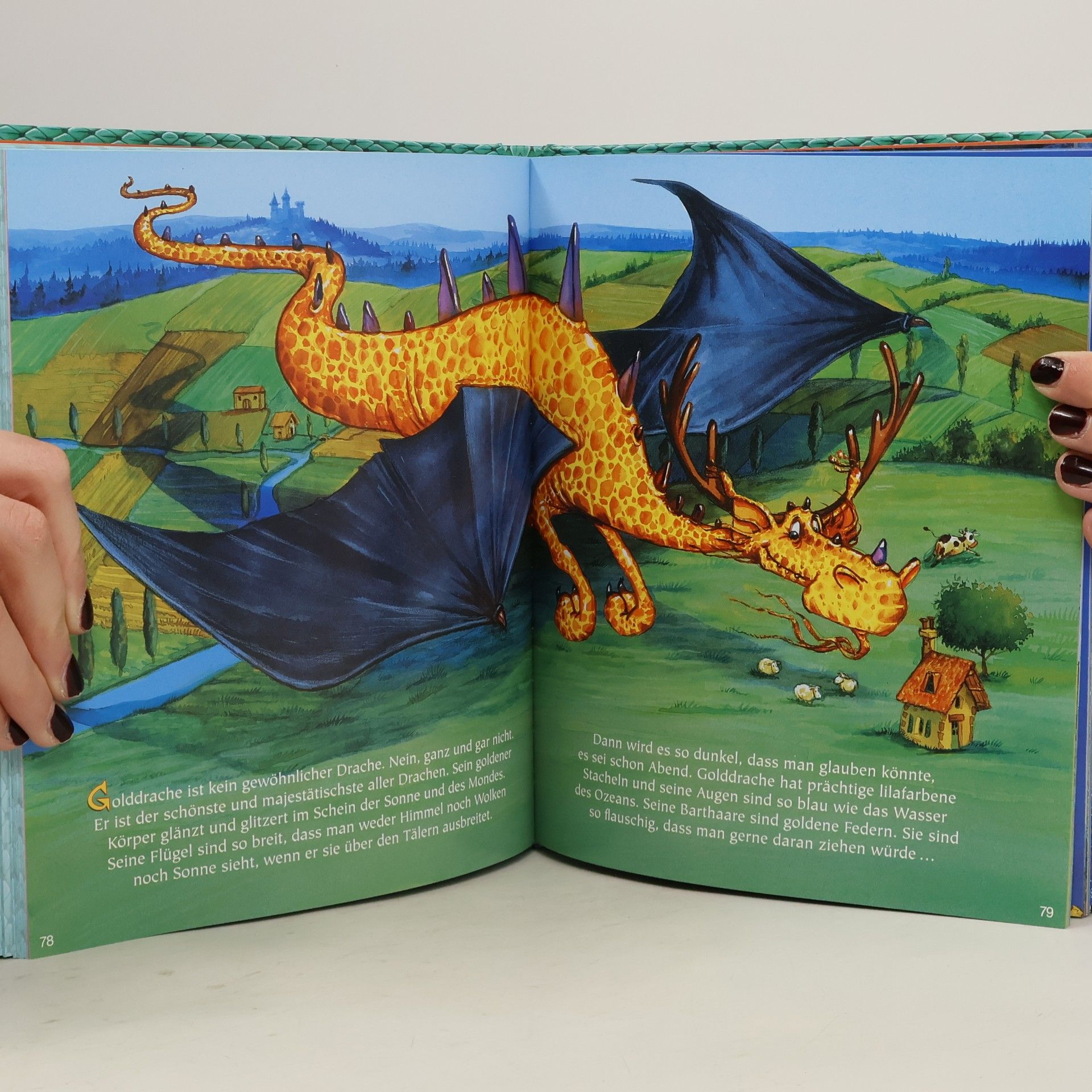 Christine Sagnier Dein buntes Wörterbuch Drachen