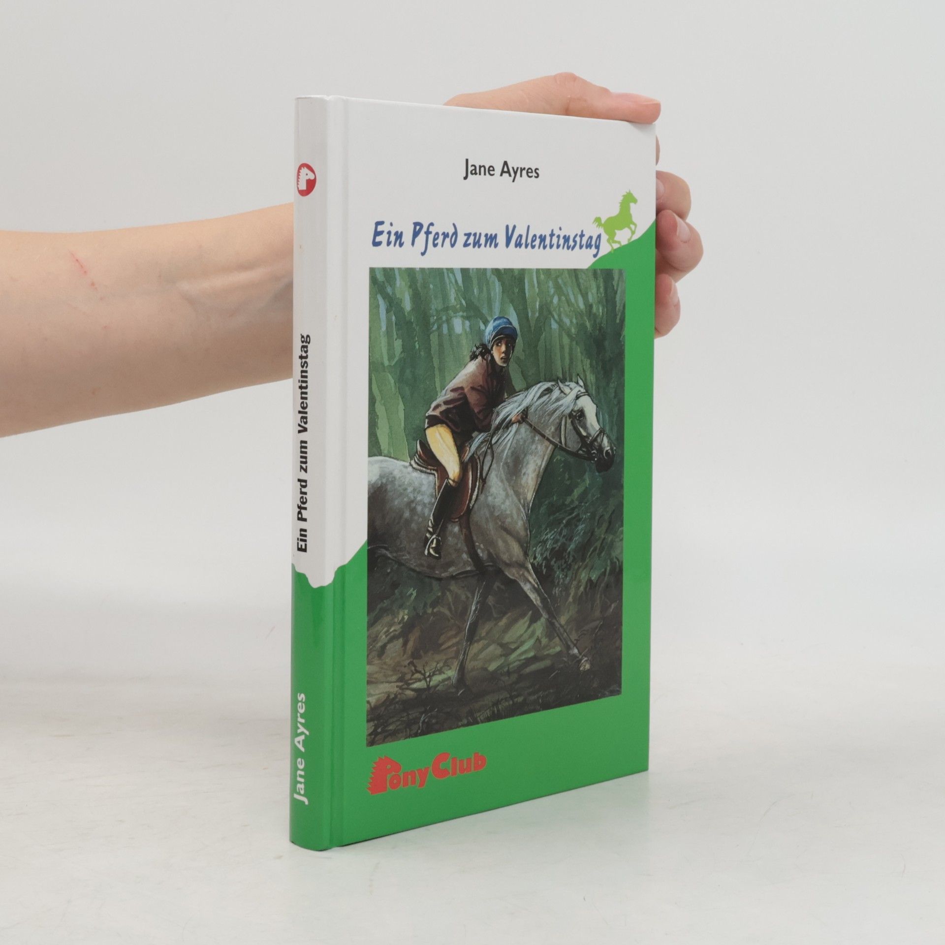 Jane Ayres Ein Pferd zum Valentinstag