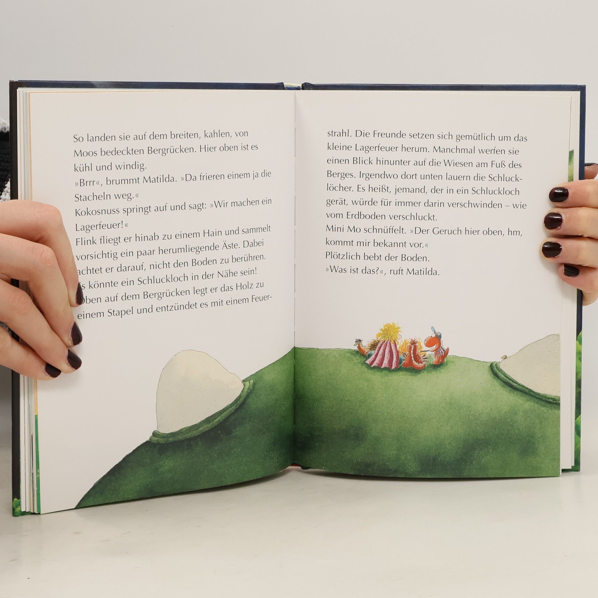 Ingo Seigner Der kleine Drache Kokosnuss und das Vampir-Abenteuer