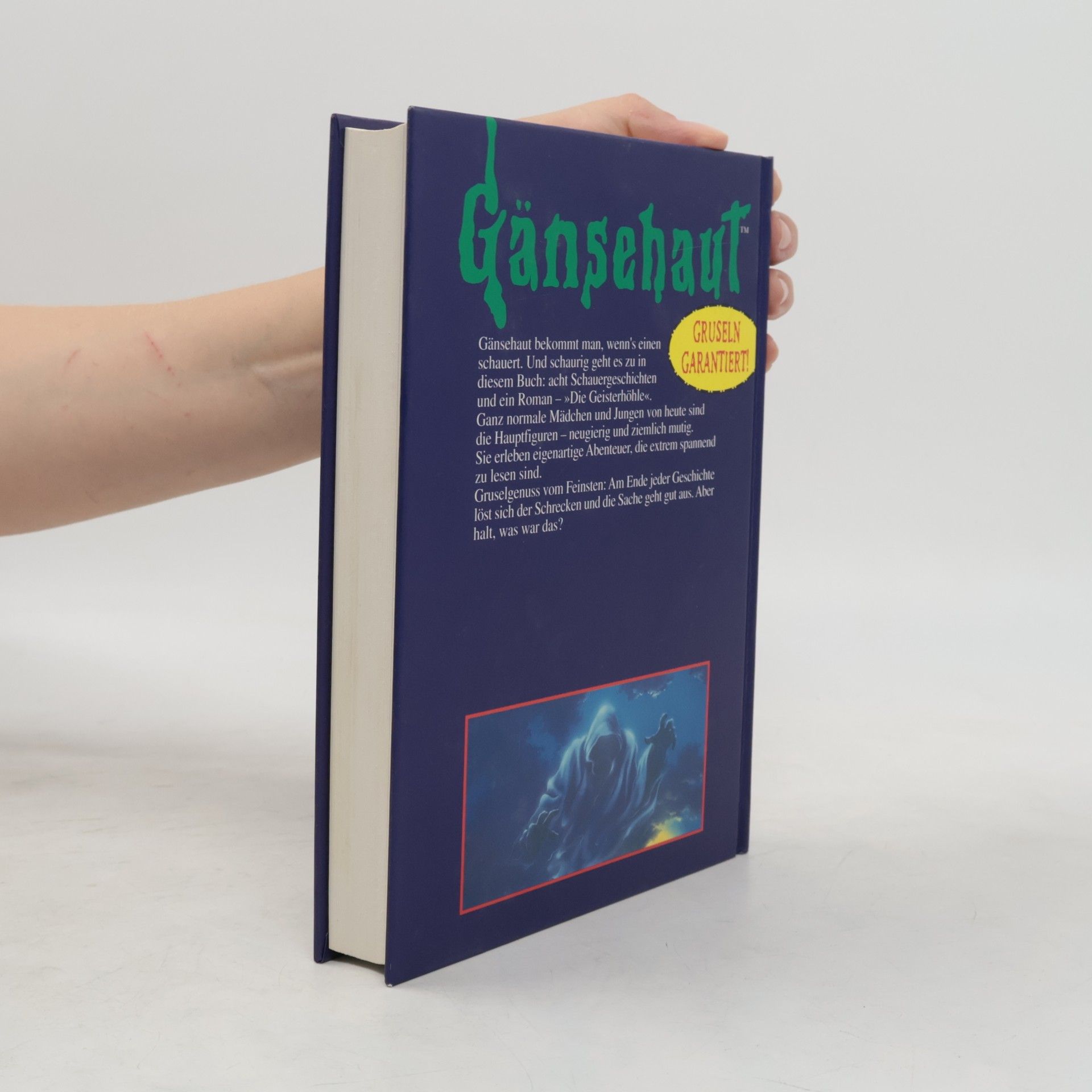 R. L. Stine Gänsehaut. Das nervenzerfetzende Buch der Schauergeshichten