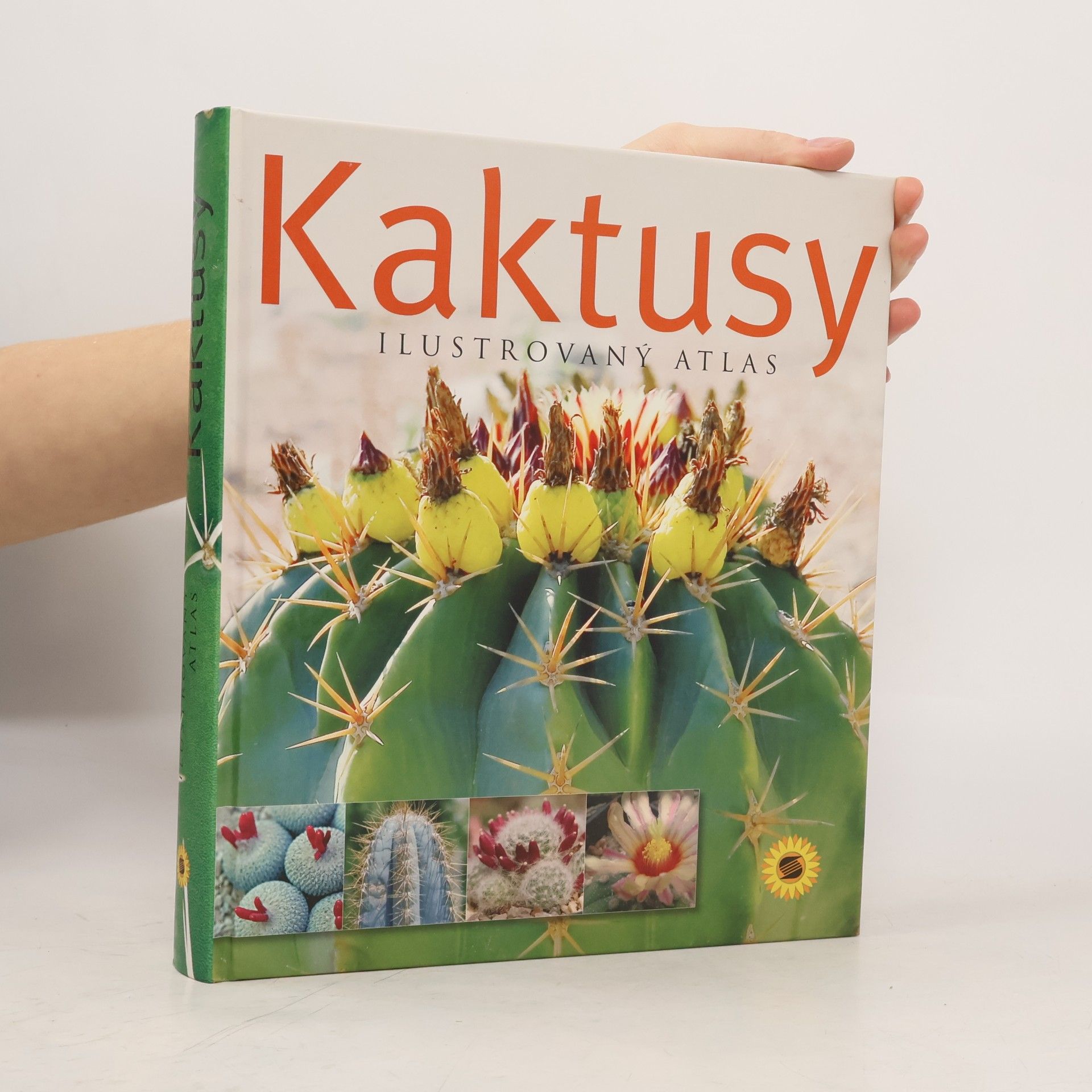 Kolektiv autorů Kaktusy