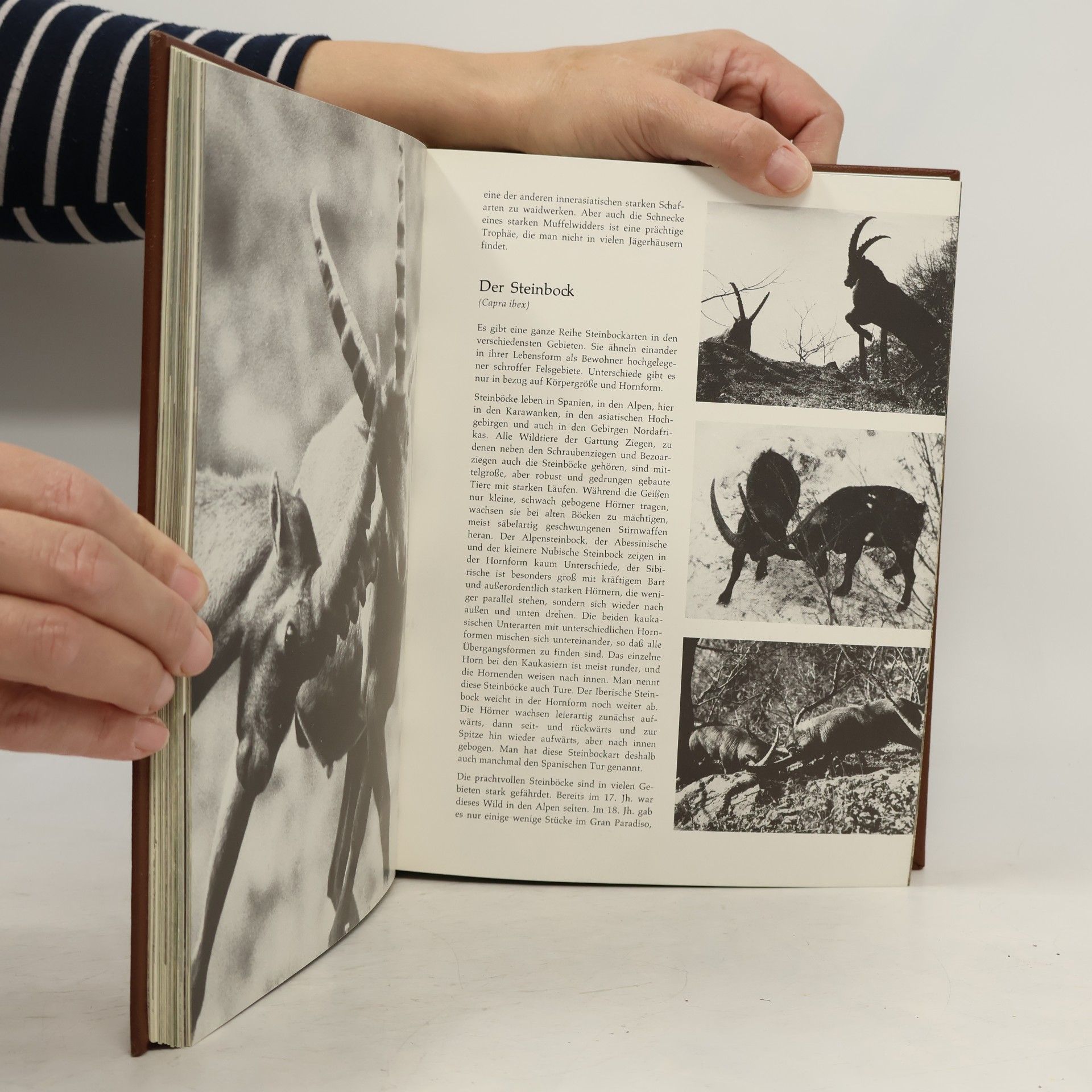 Various authors Jäger Jagd und Wild in Aller Welt I.-II. díl