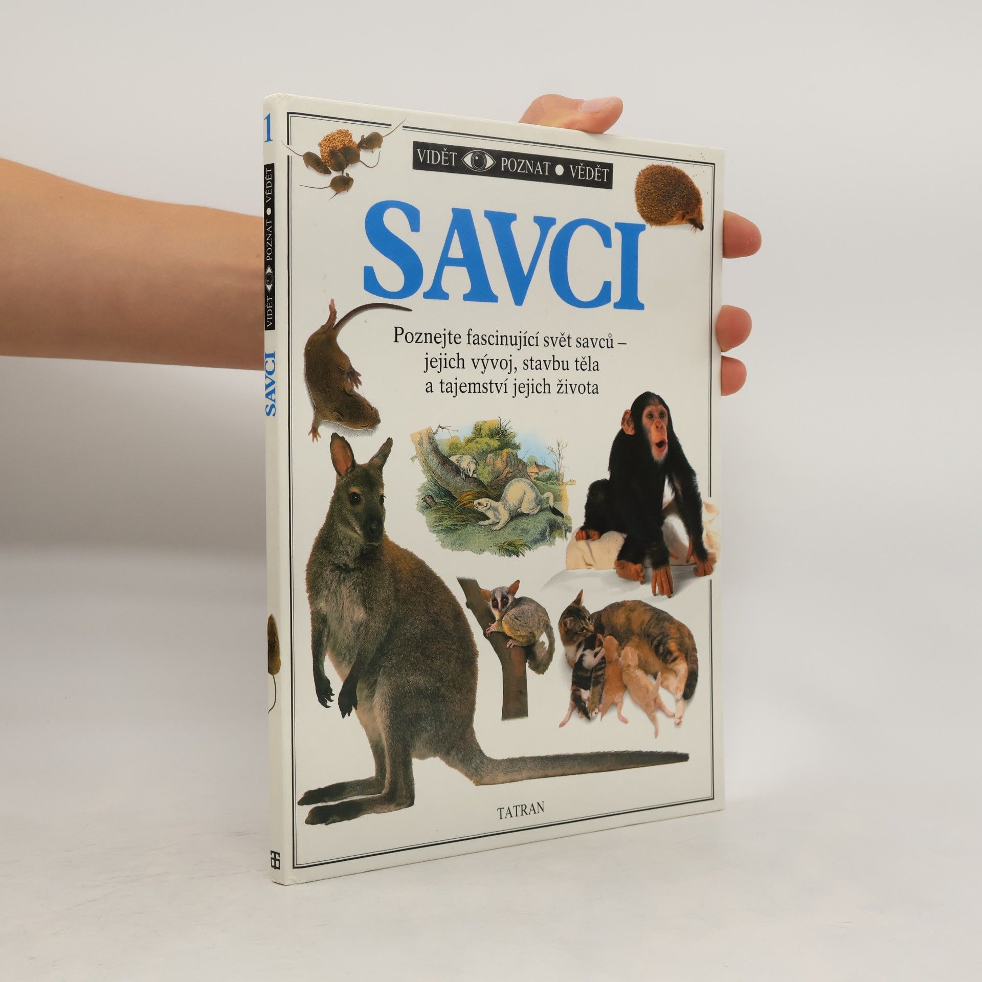 Steve Parker Savci