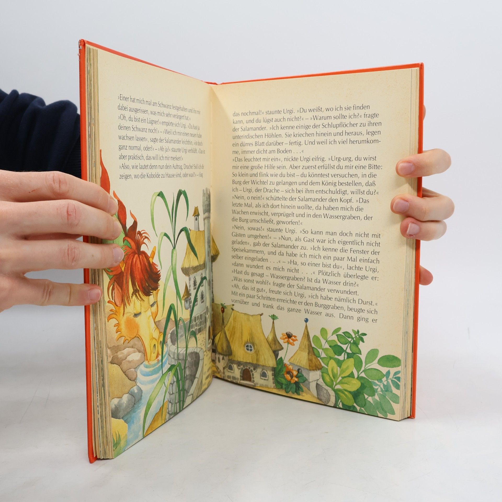 Anne Suess Der kleine Drache und seine Freunde