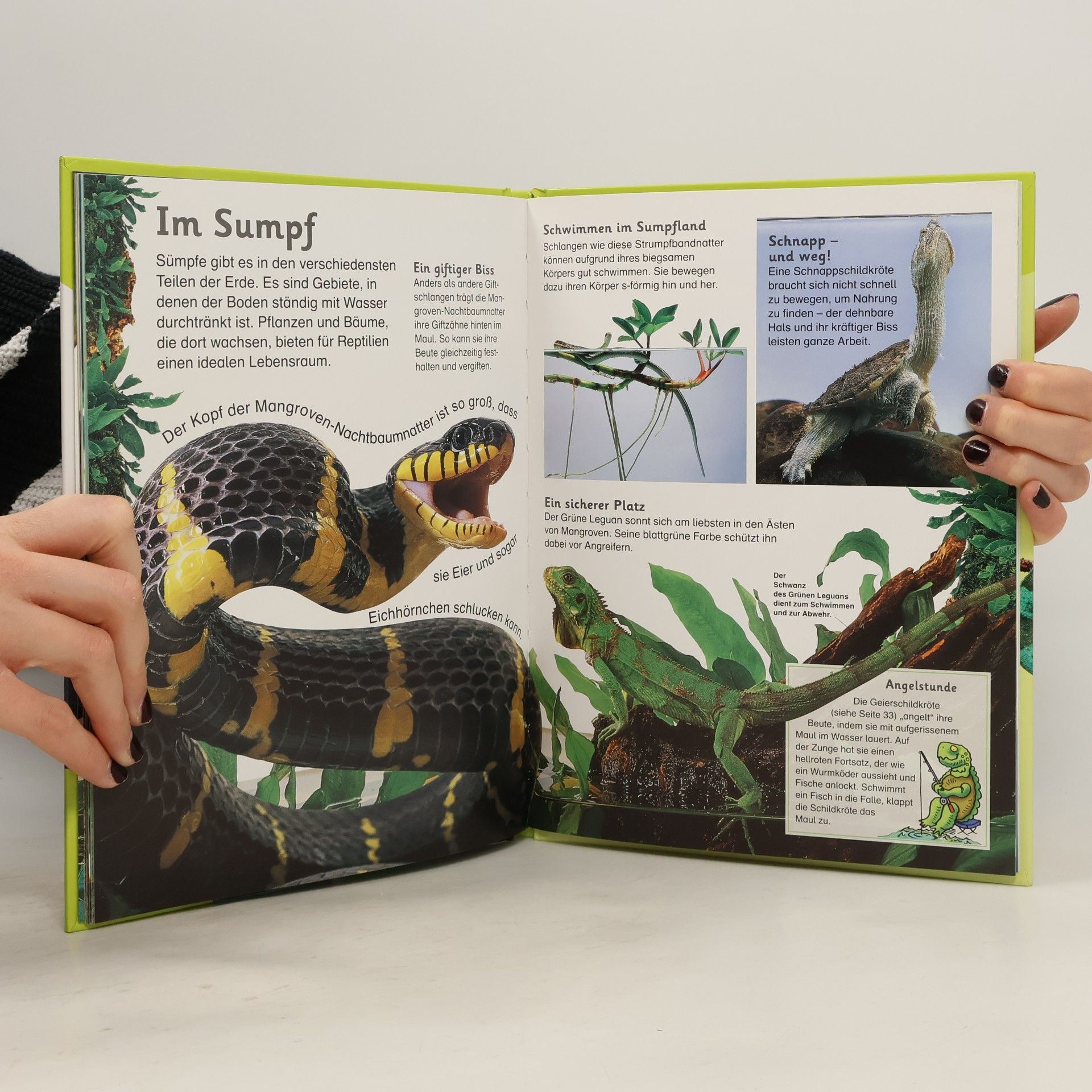 Simon Holland Reptilien