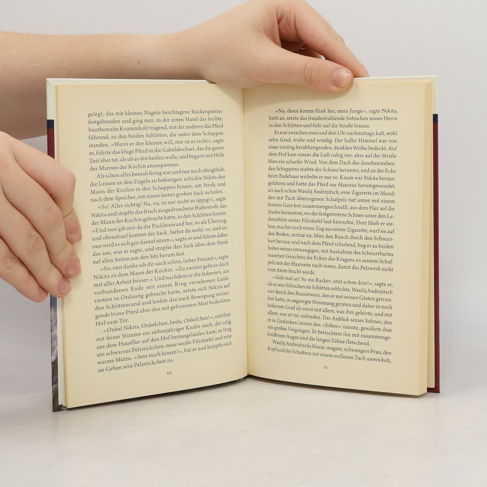 Lew Nikolajewitsch Tolstoi Herr und Knecht