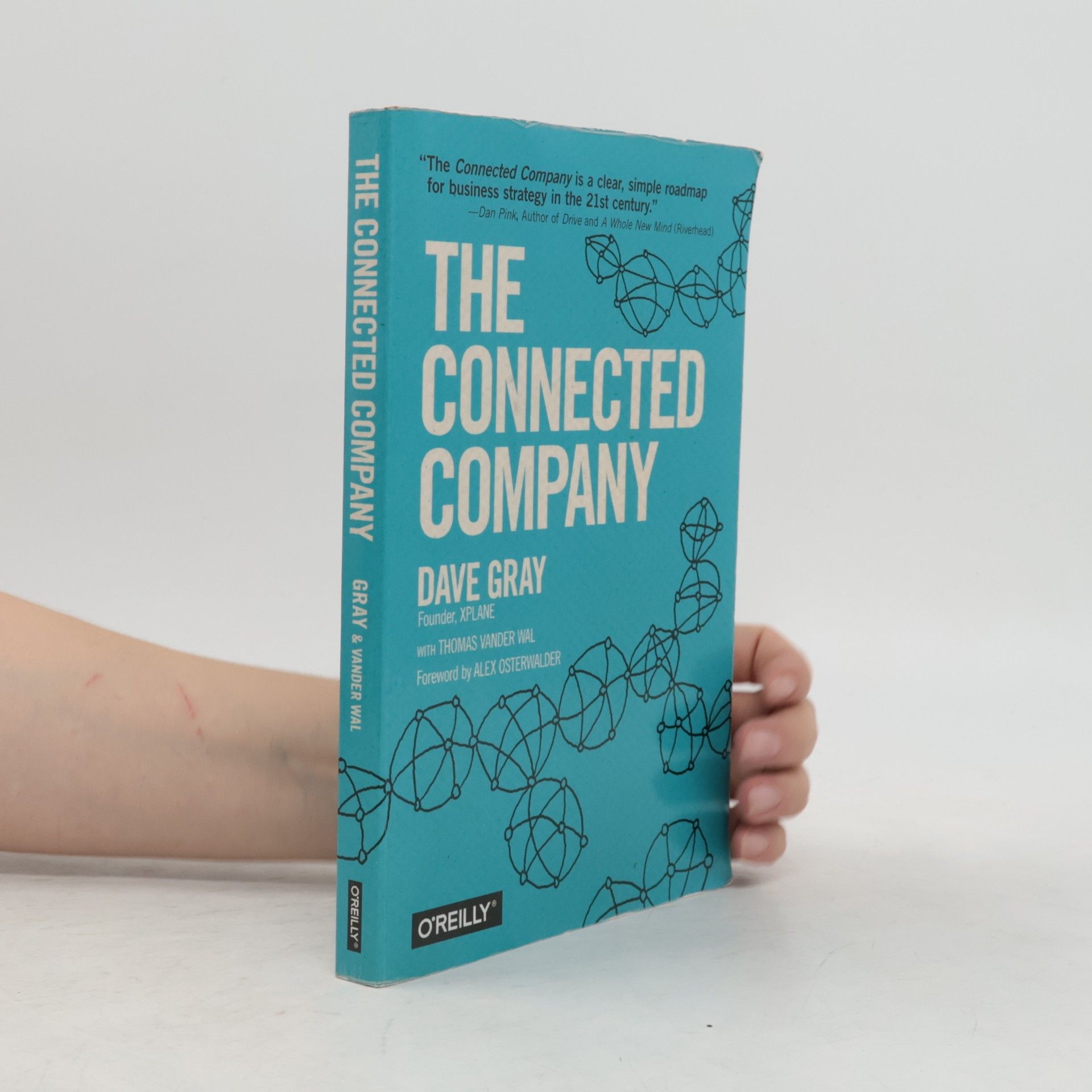 David Gray The Connected Company