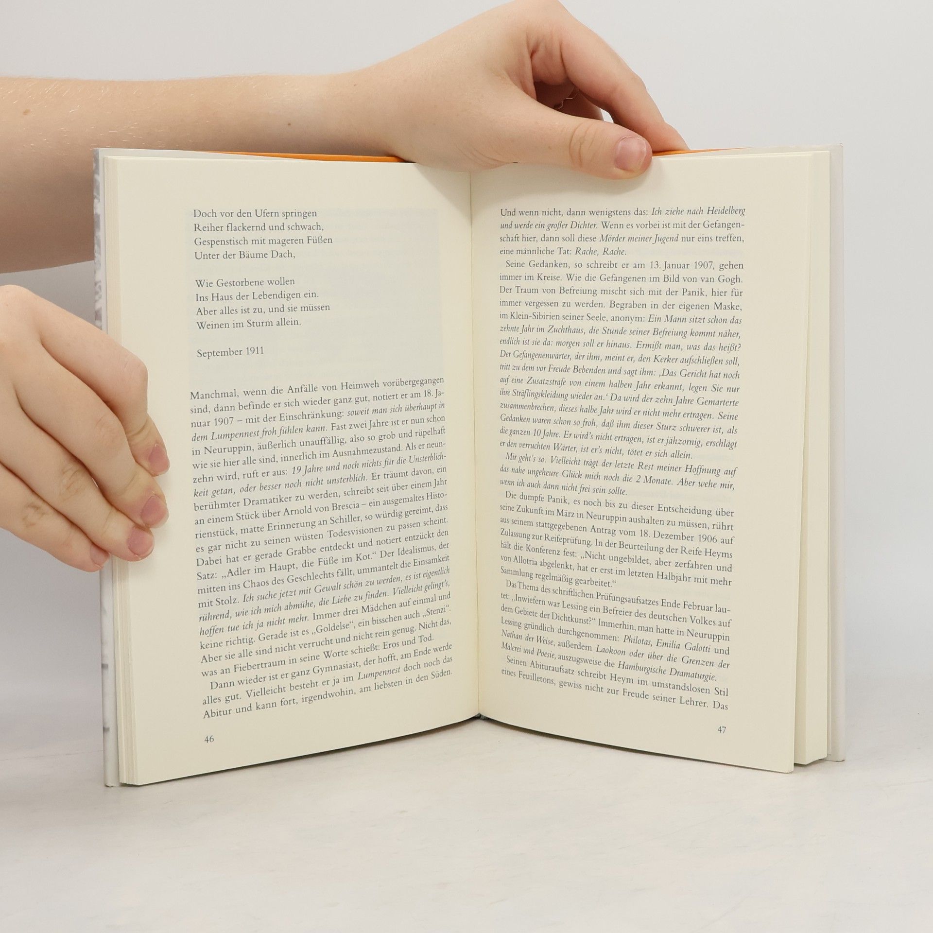 Gunnar Decker Georg Heym „Ich, ein zerrissenes Meer“