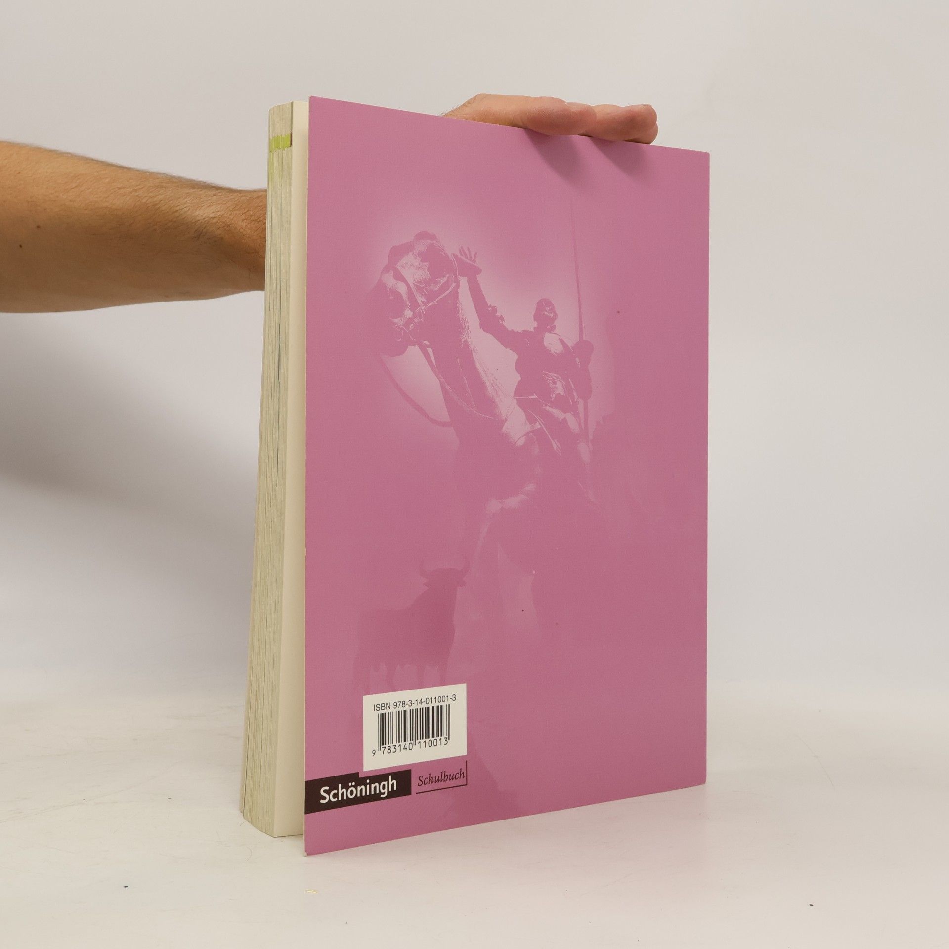 Hella Klink Rutas - Arbeitsbuch Spanisch für die Oberstufe Schülerbuch